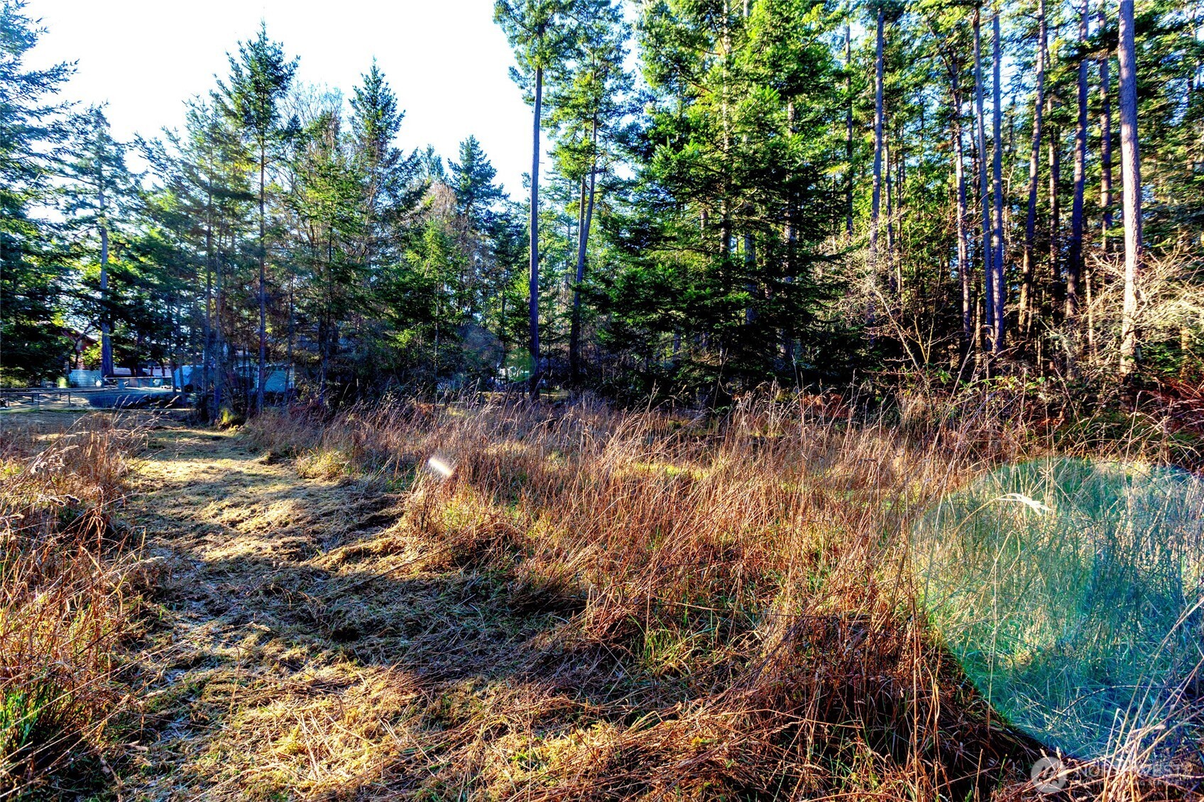 206 Island Drive Property Photo 18