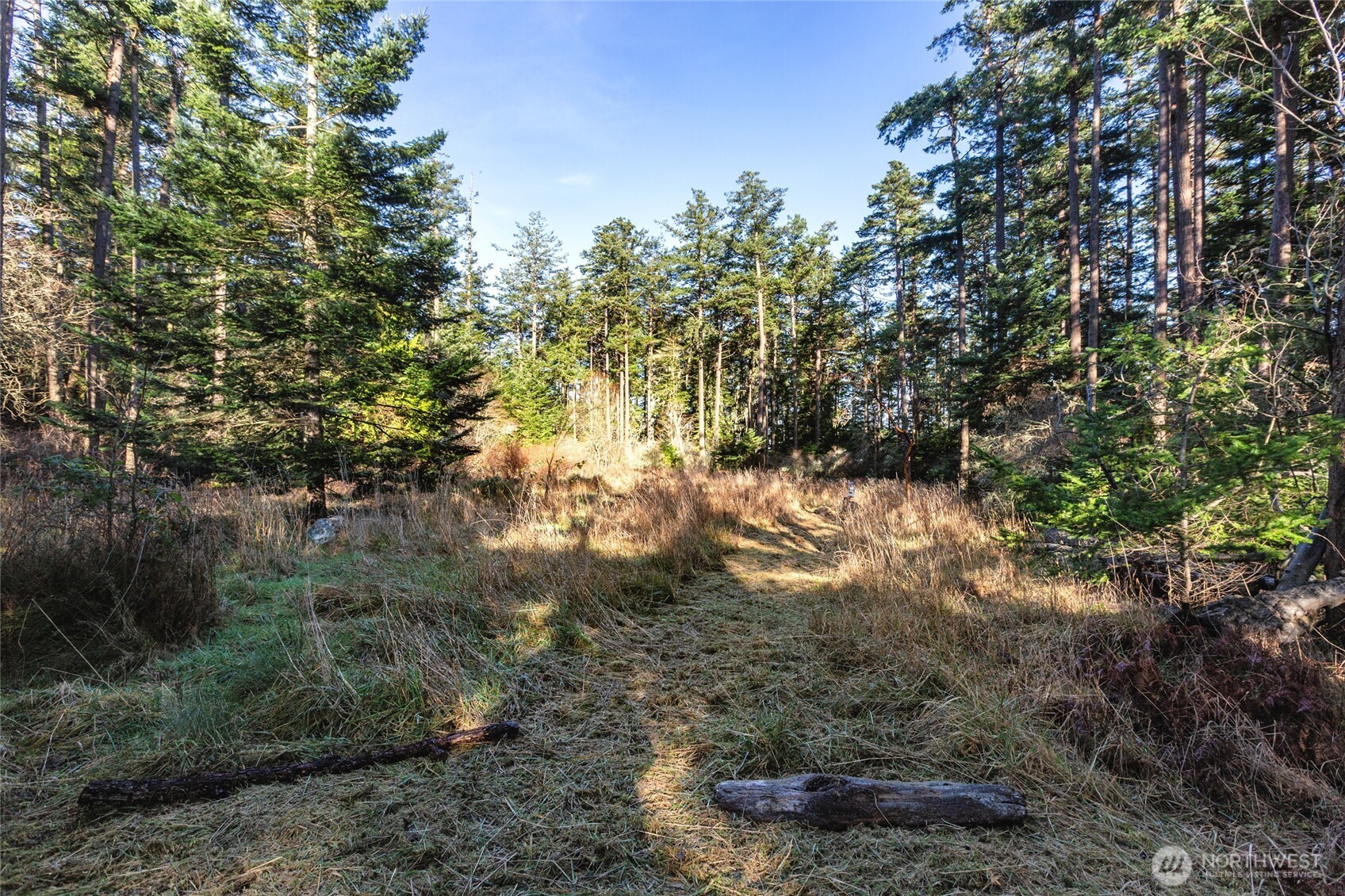 206 Island Drive Property Photo 19