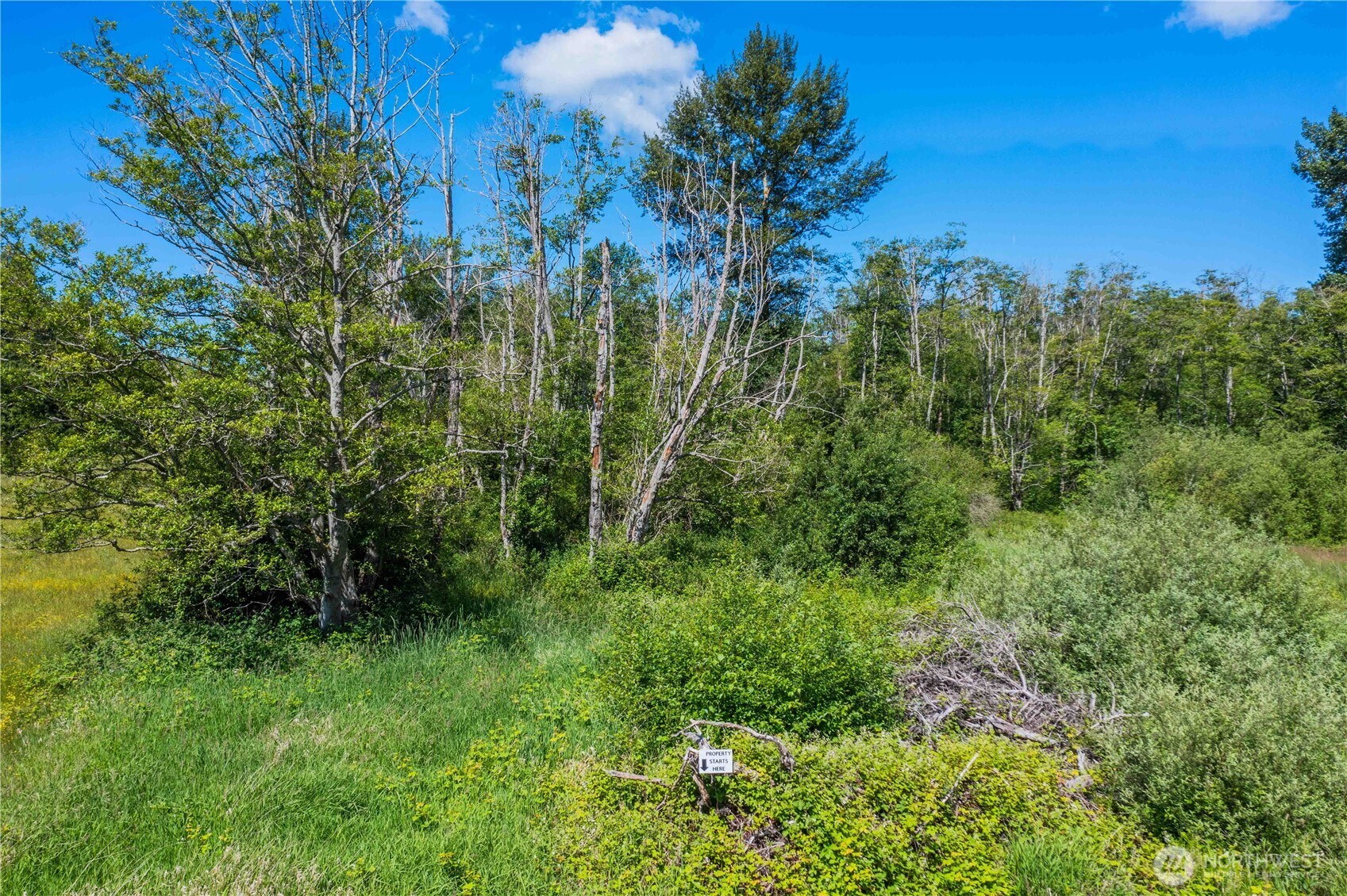 6790 Shelter Lane Property Photo 8