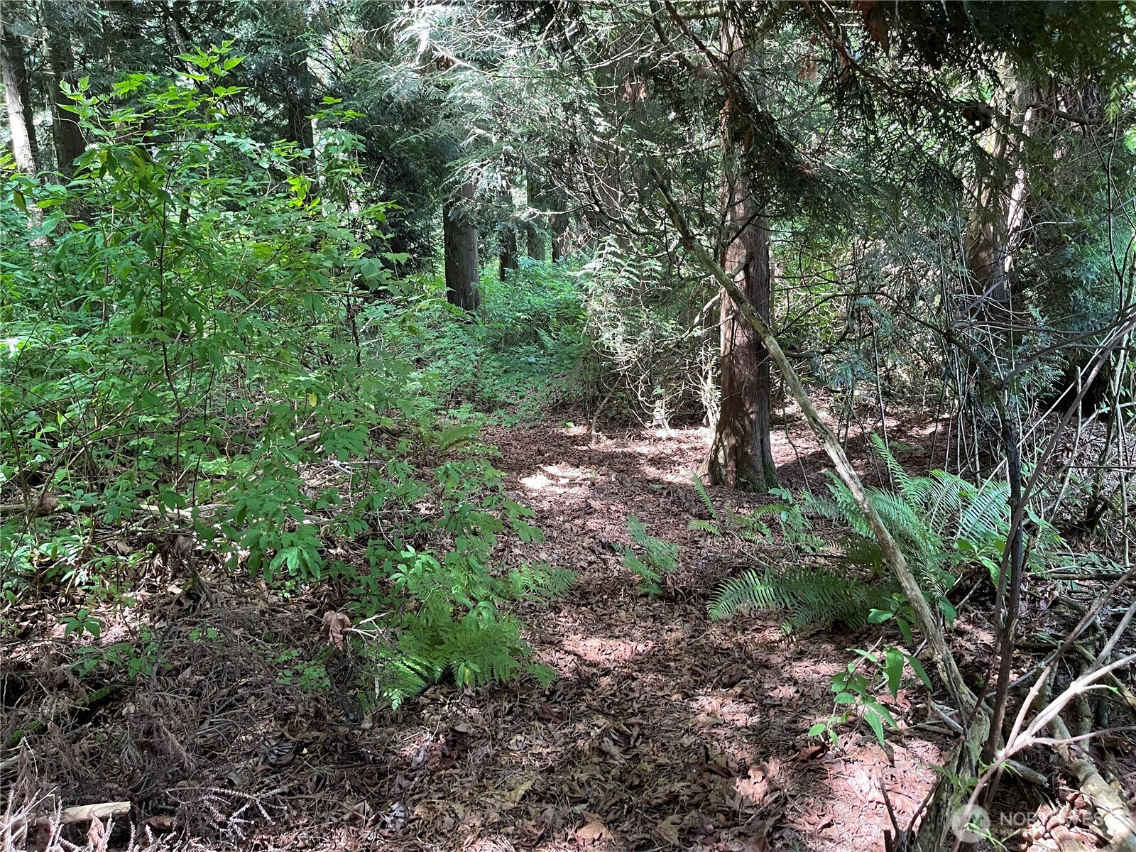 6790 Shelter Lane Property Photo 18