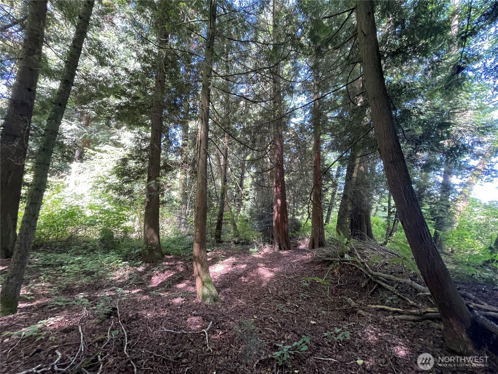 6790 Shelter Lane Property Photo 21