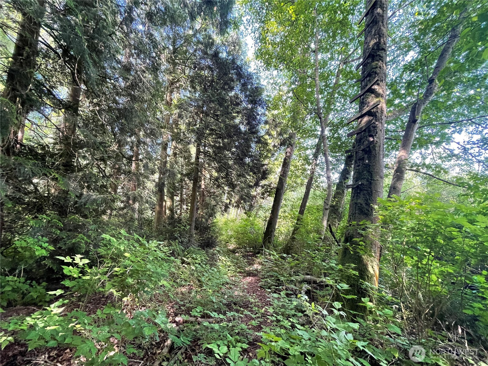 6790 Shelter Lane Property Photo 23