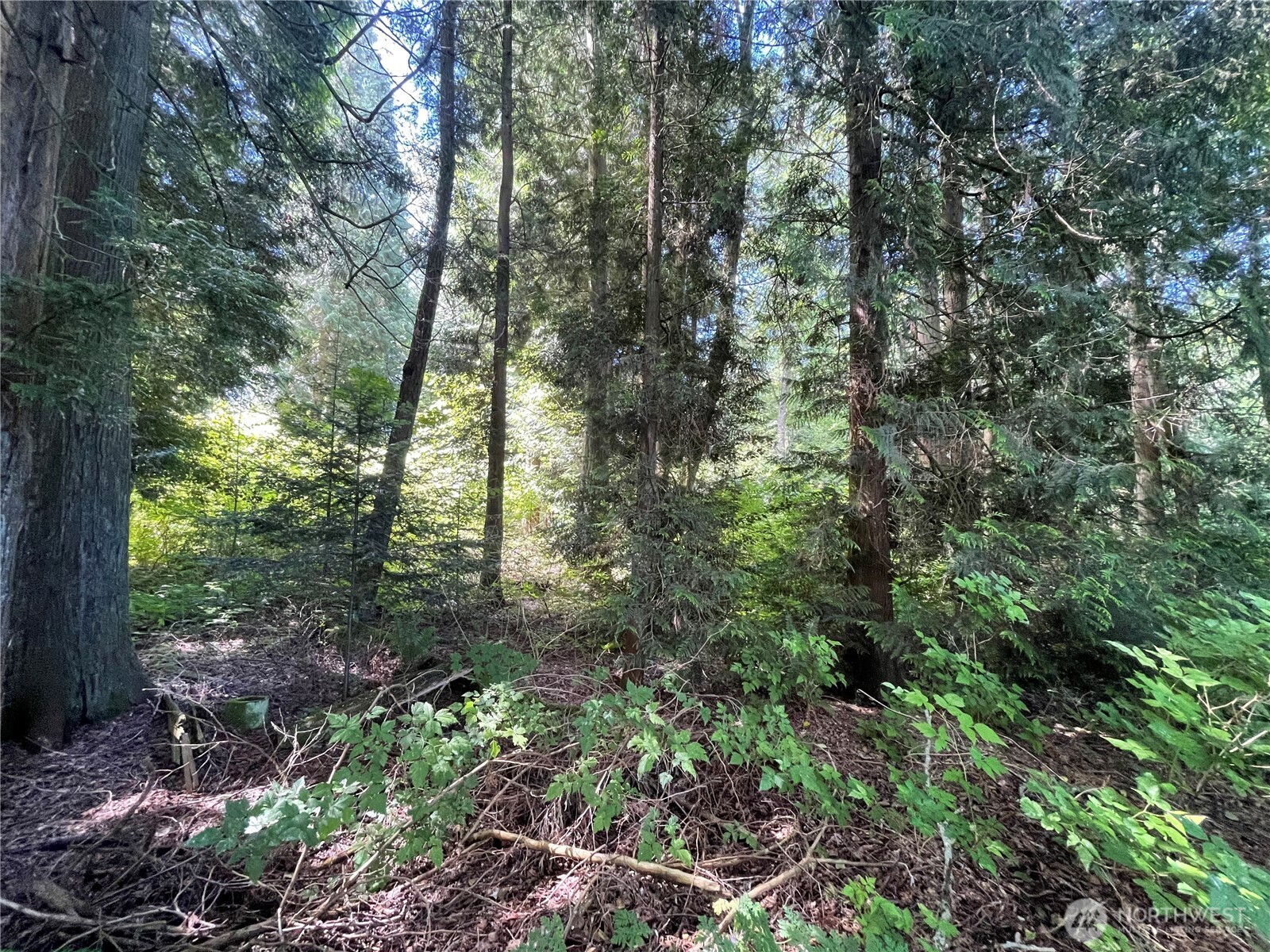 6790 Shelter Lane Property Photo 24