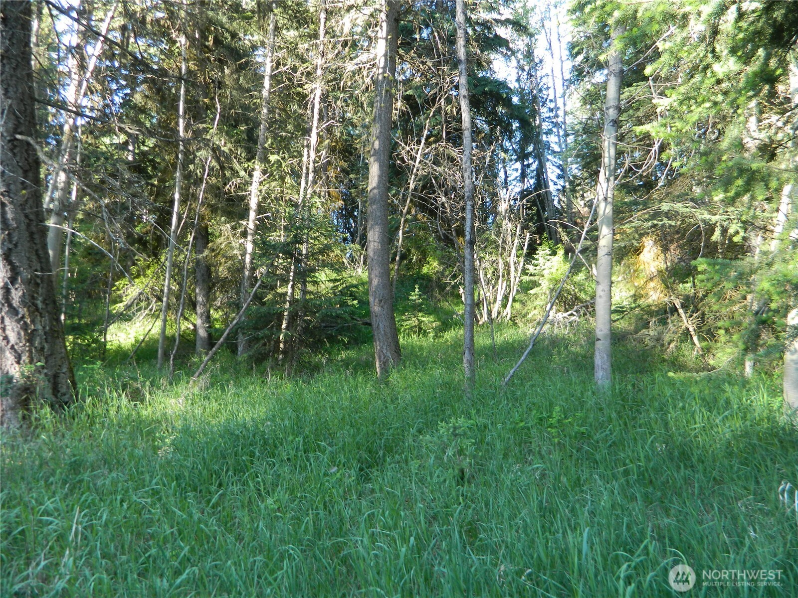 0 Tbd Lake View Drive Property Photo 1