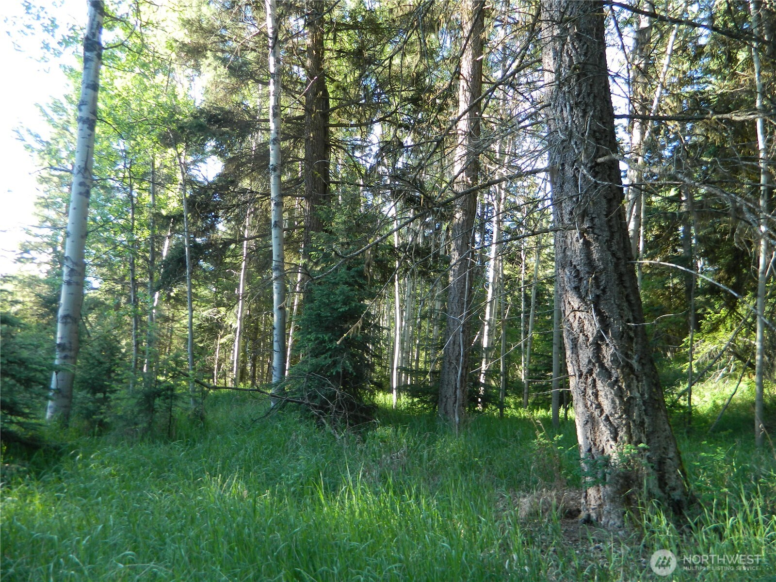 0 Tbd Lake View Drive Property Photo 2