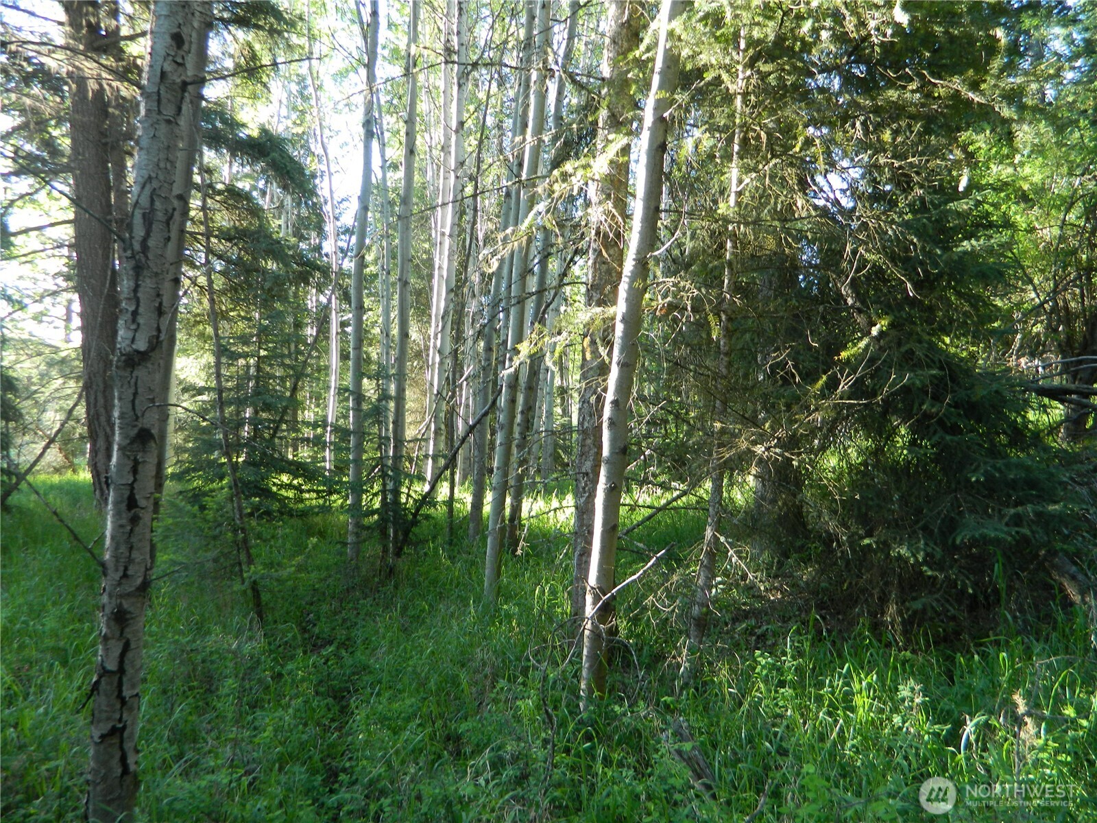 0 Tbd Lake View Drive Property Photo 3