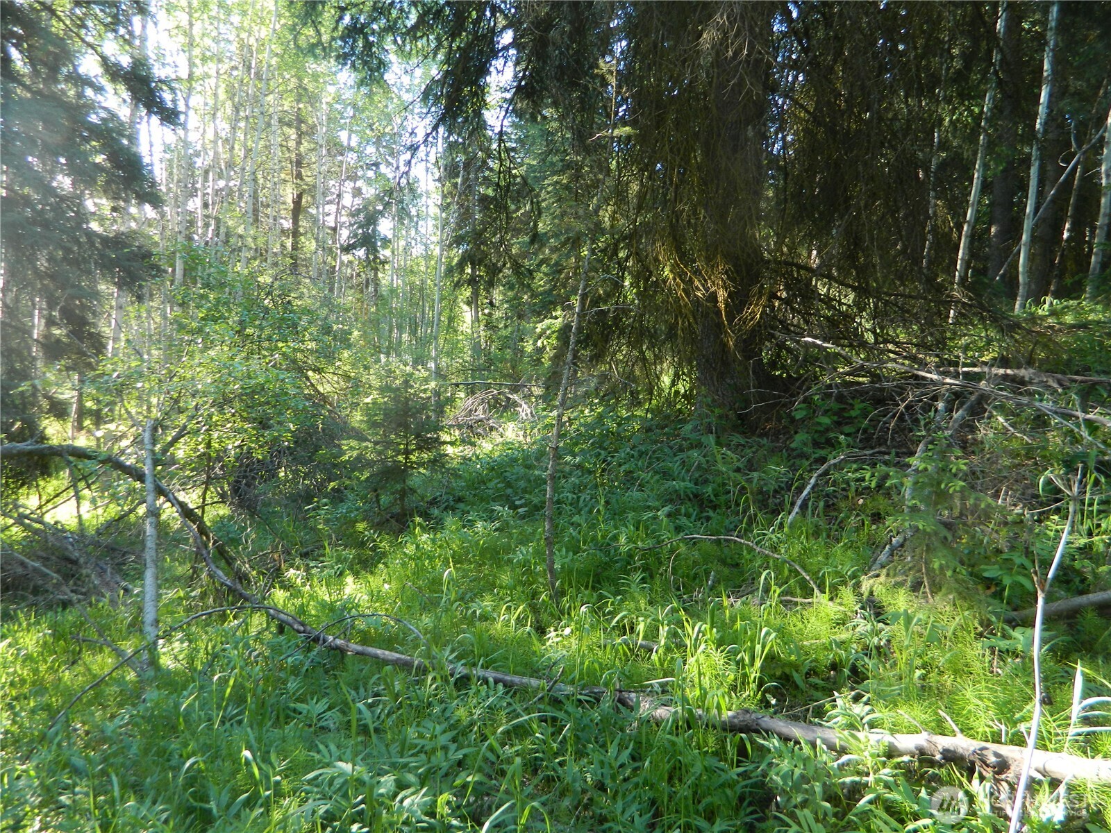 0 Tbd Lake View Drive Property Photo 4