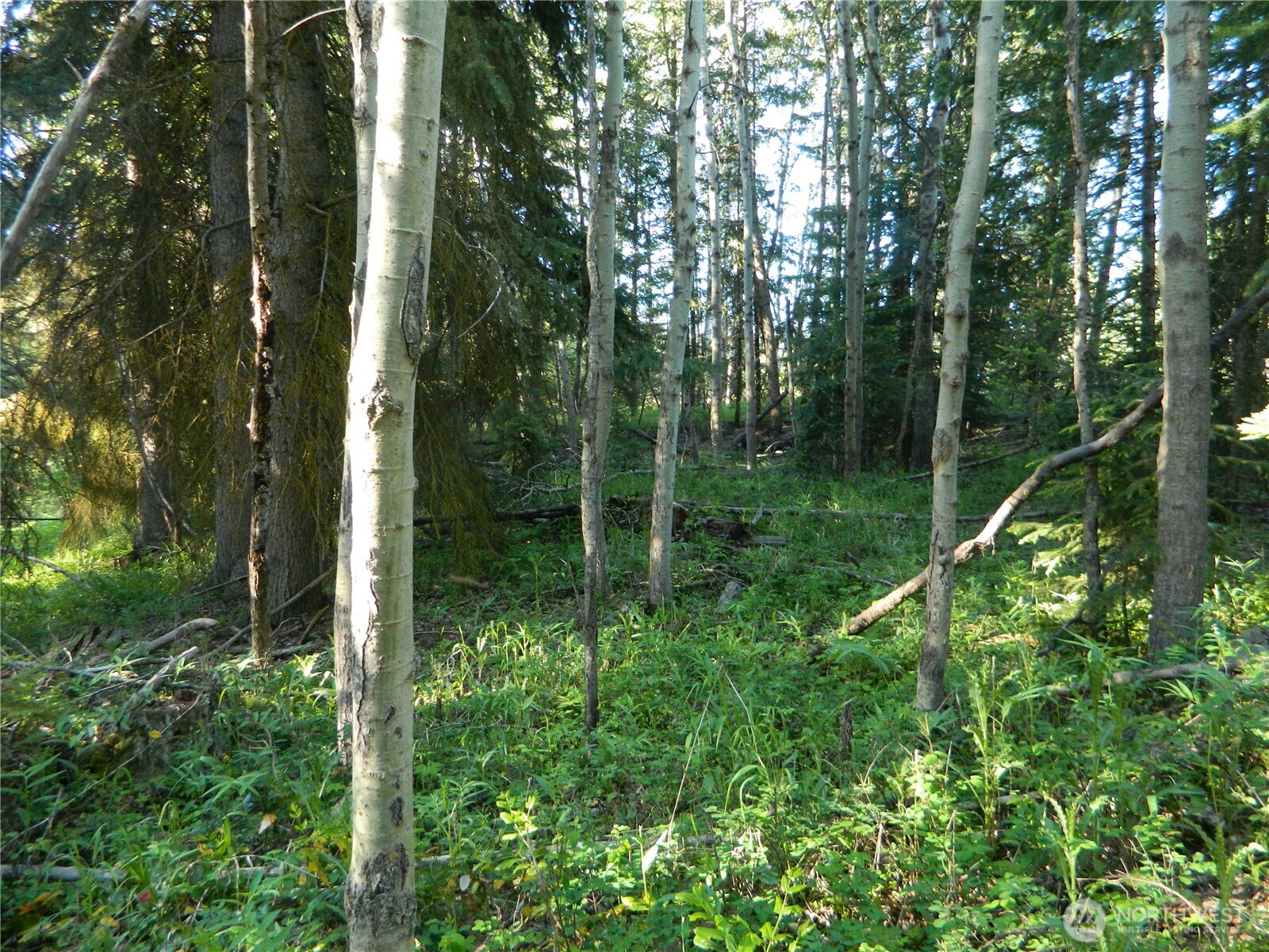 0 Tbd Lake View Drive Property Photo 5