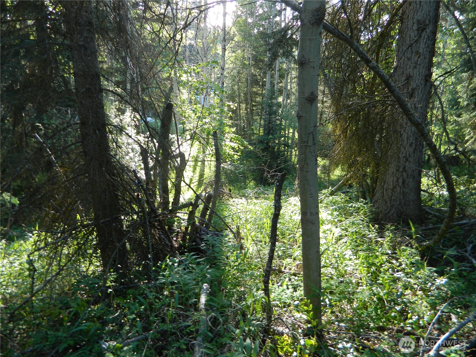0 Tbd Lake View Drive Property Photo 6