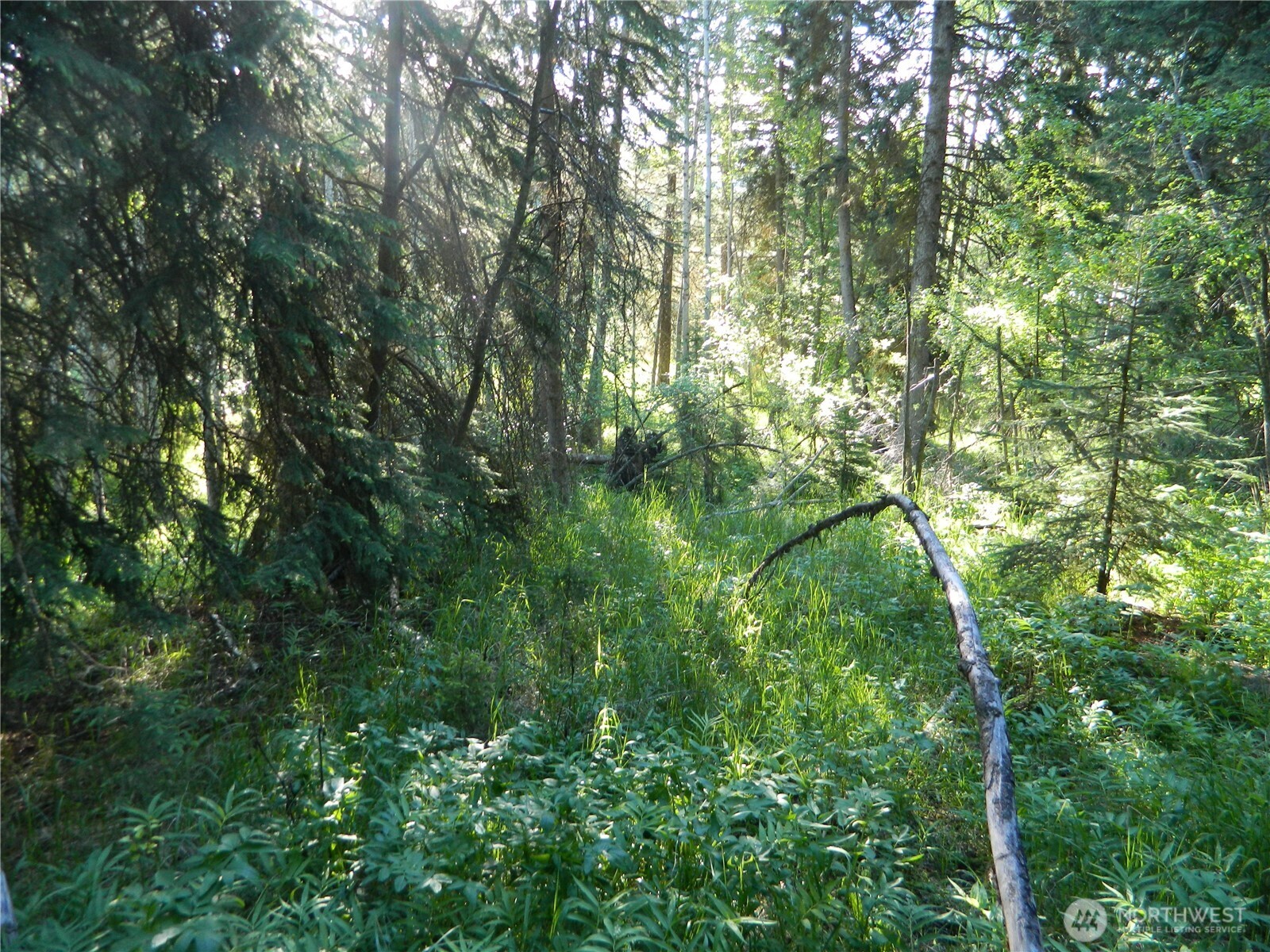 0 Tbd Lake View Drive Property Photo 7