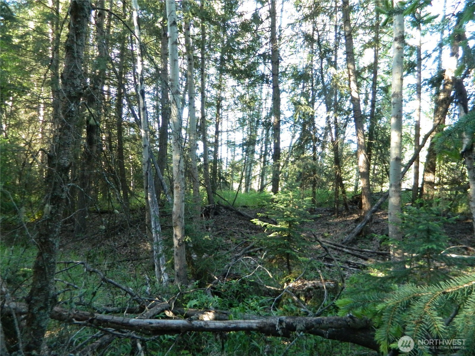 0 Tbd Lake View Drive Property Photo 8