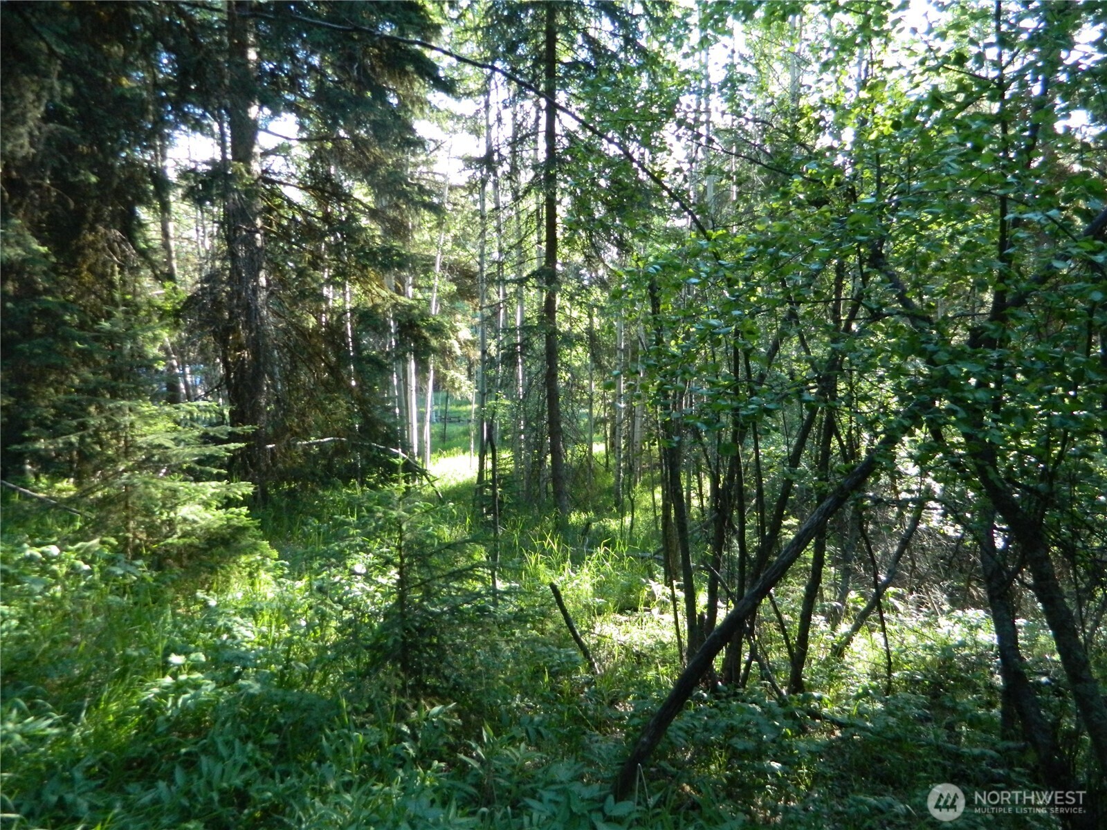 0 Tbd Lake View Drive Property Photo 10