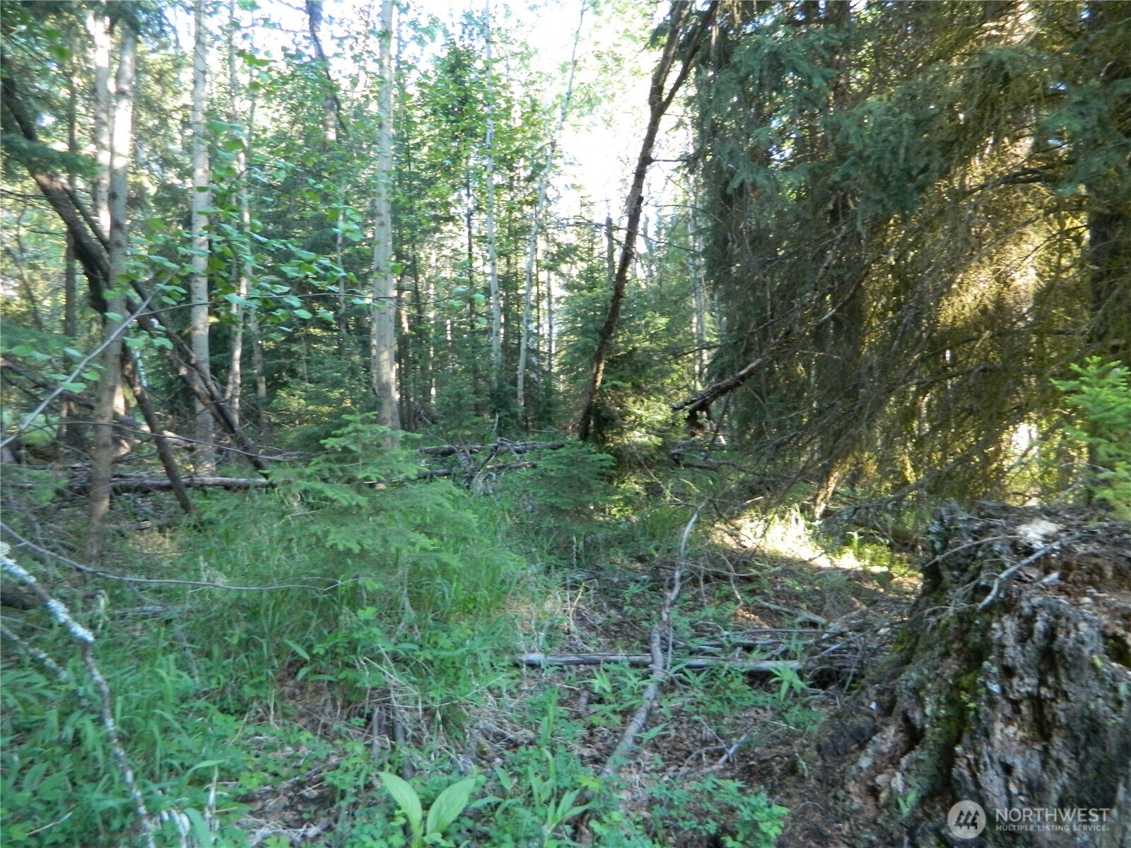 0 Tbd Lake View Drive Property Photo 11