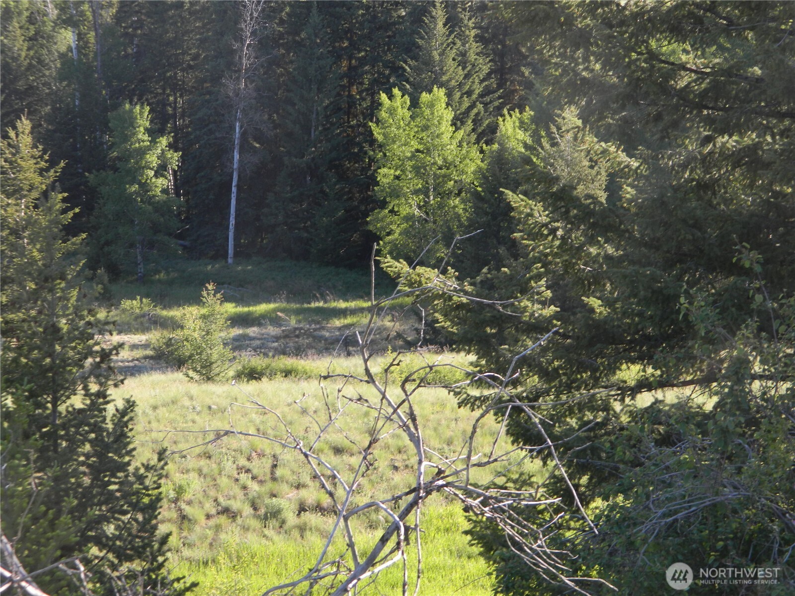 0 Tbd Lake View Drive Property Photo 13