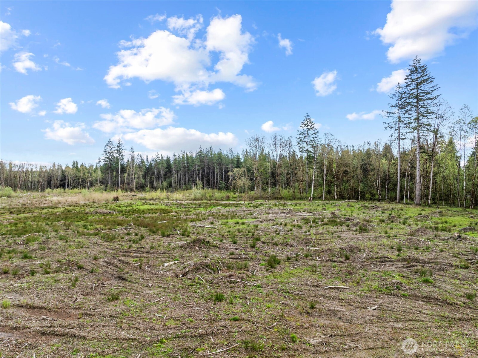 4949 Jackson Highway Property Photo 5