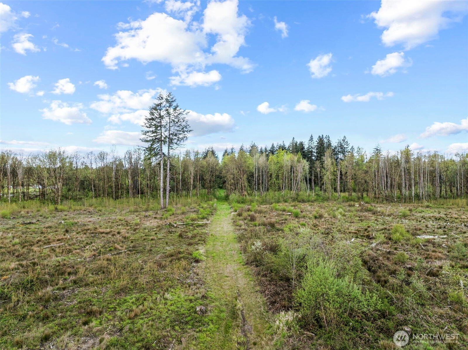 4949 Jackson Highway Property Photo 8