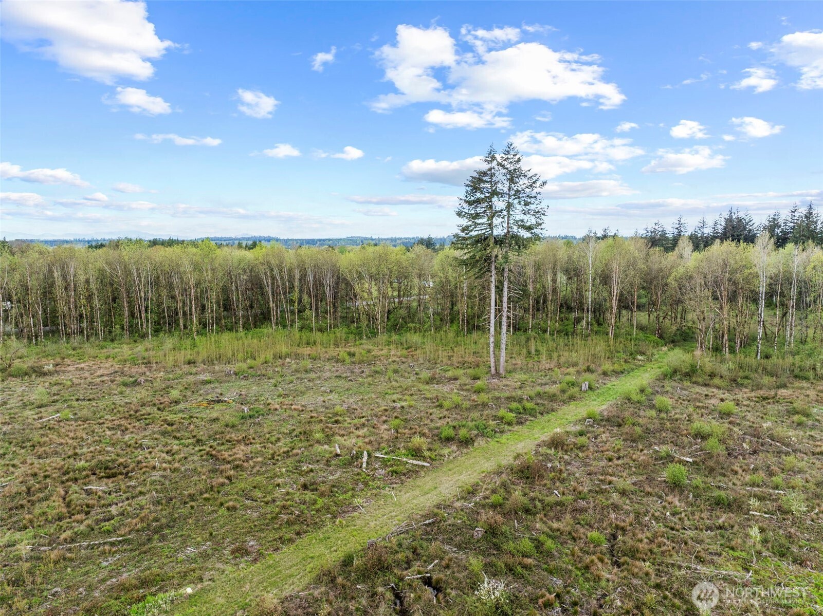 4949 Jackson Highway Property Photo 10
