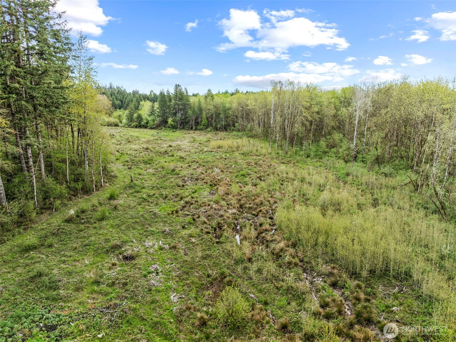 4949 Jackson Highway Property Photo 13