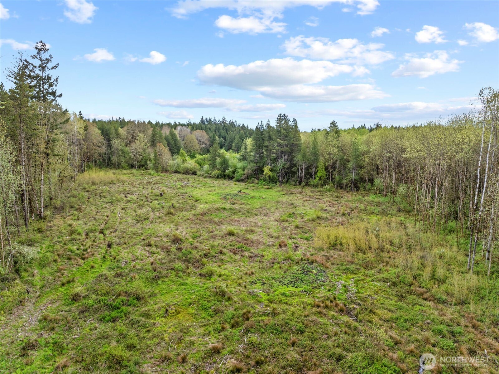 4949 Jackson Highway Property Photo 14