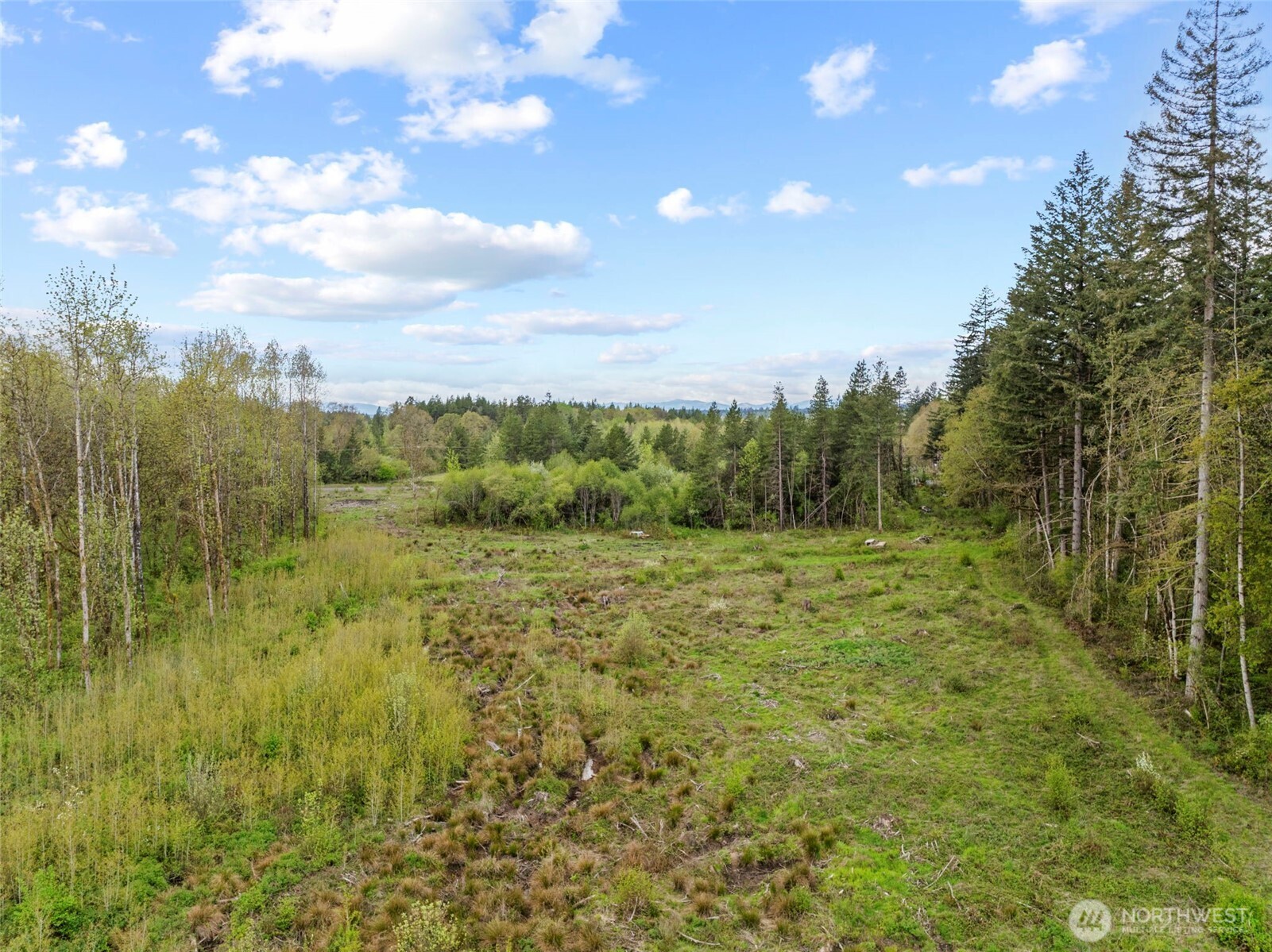 4949 Jackson Highway Property Photo 15