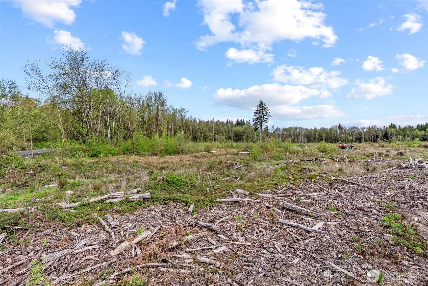 4949 Jackson Highway Property Photo 24