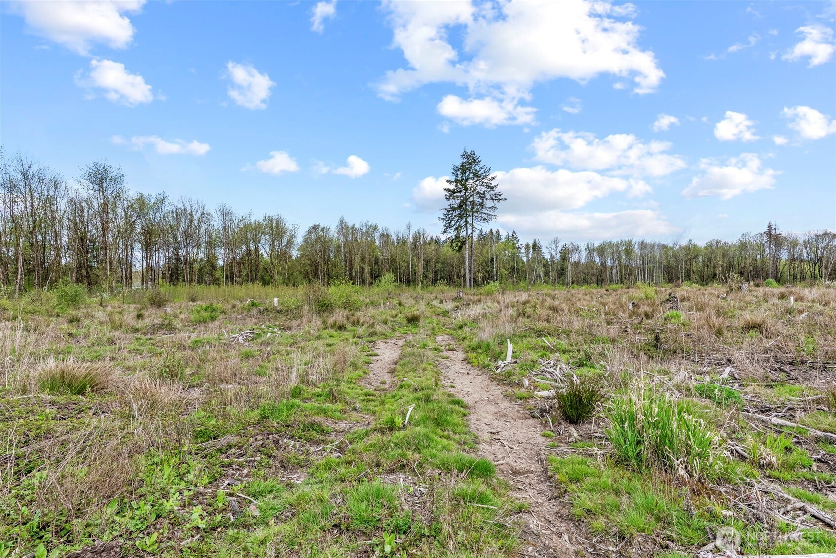 4949 Jackson Highway Property Photo 29