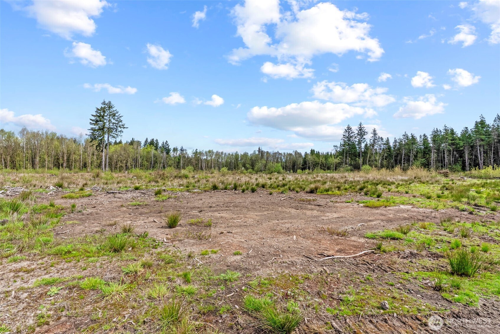 4949 Jackson Highway Property Photo 30
