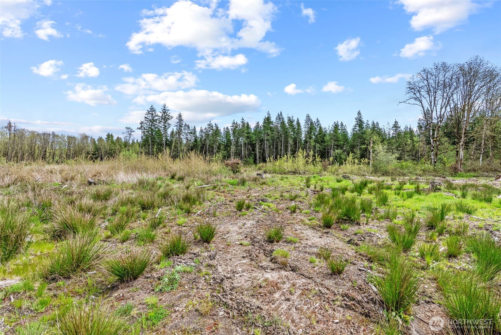 4949 Jackson Highway Property Photo 32