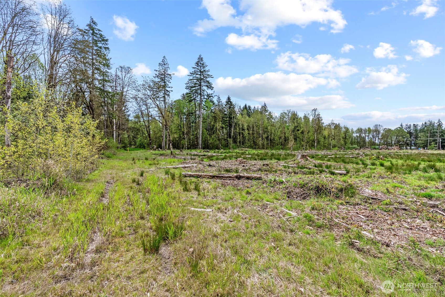 4949 Jackson Highway Property Photo 33