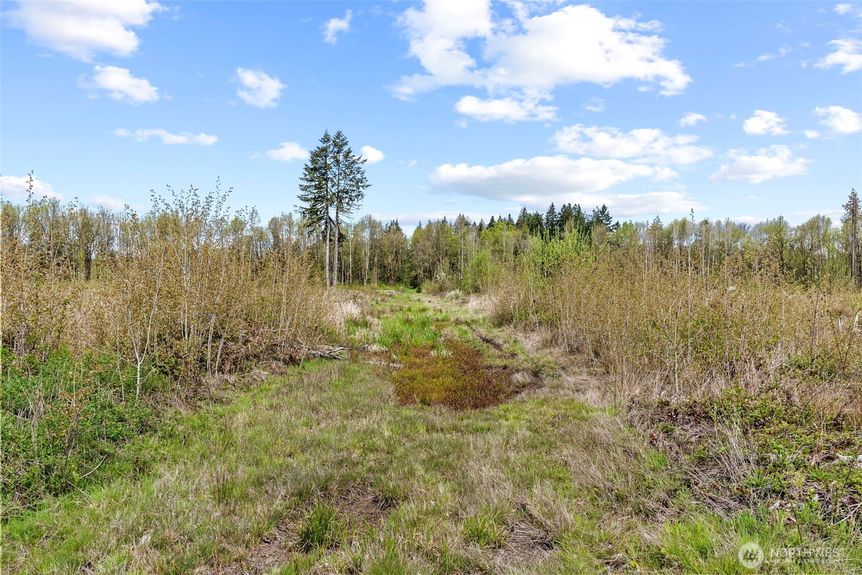 4949 Jackson Highway Property Photo 34