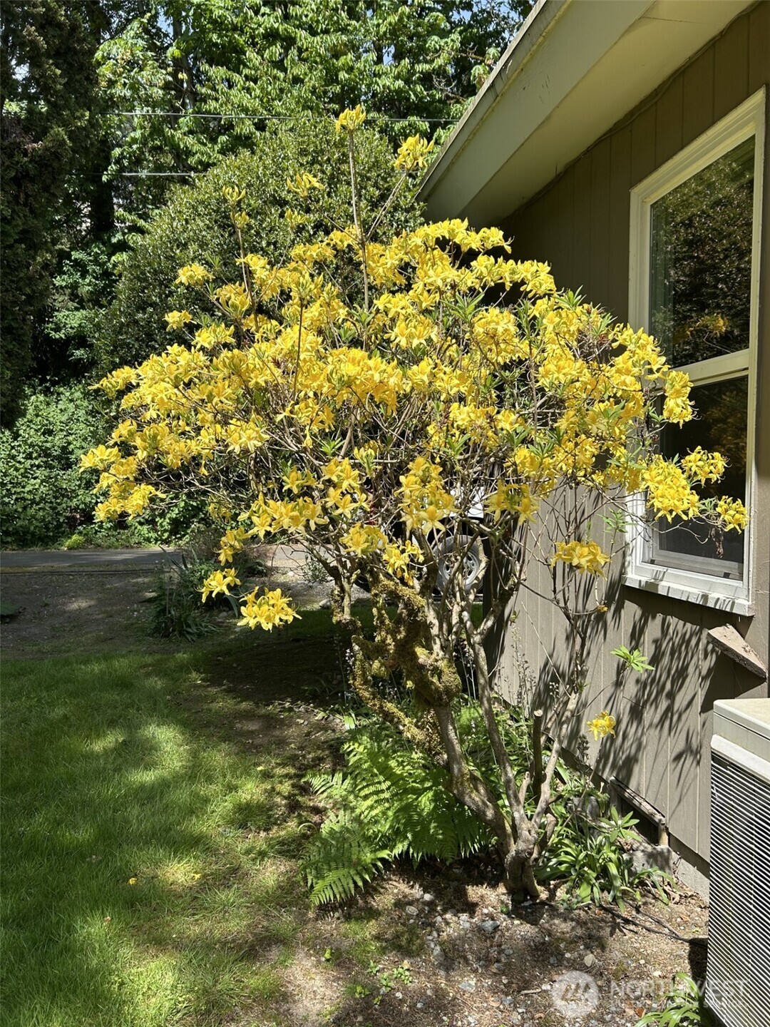 8833 Ne Bothell Way Property Photo 32