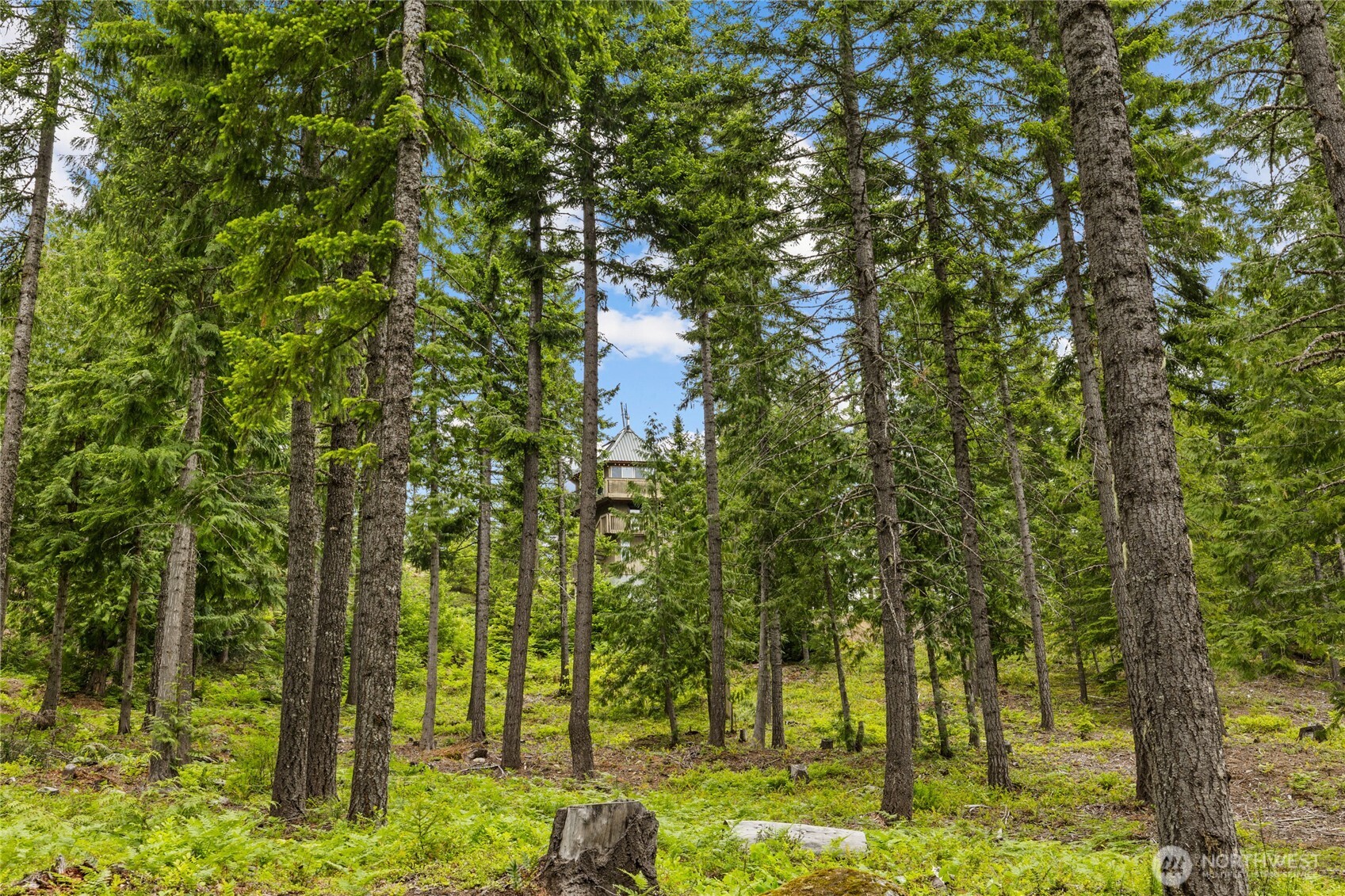 861 Via Kachess Rd Property Photo 11