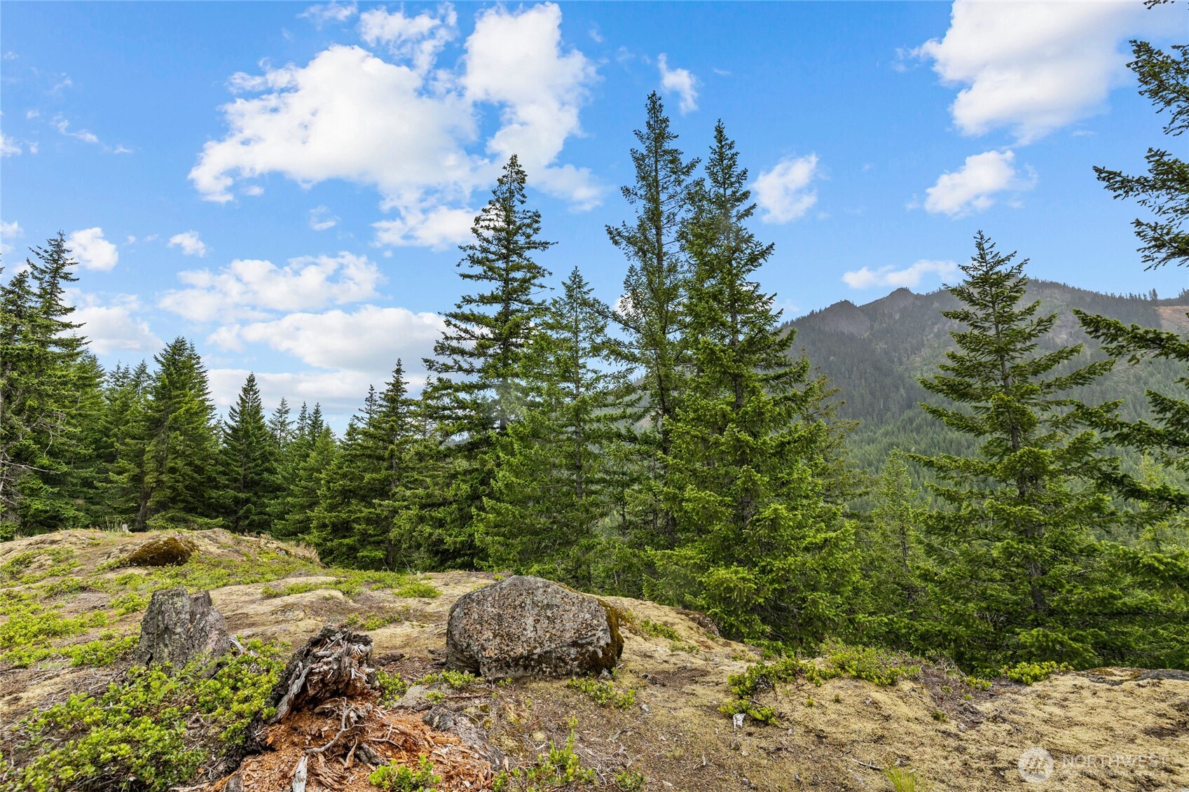 861 Via Kachess Rd Property Photo 15