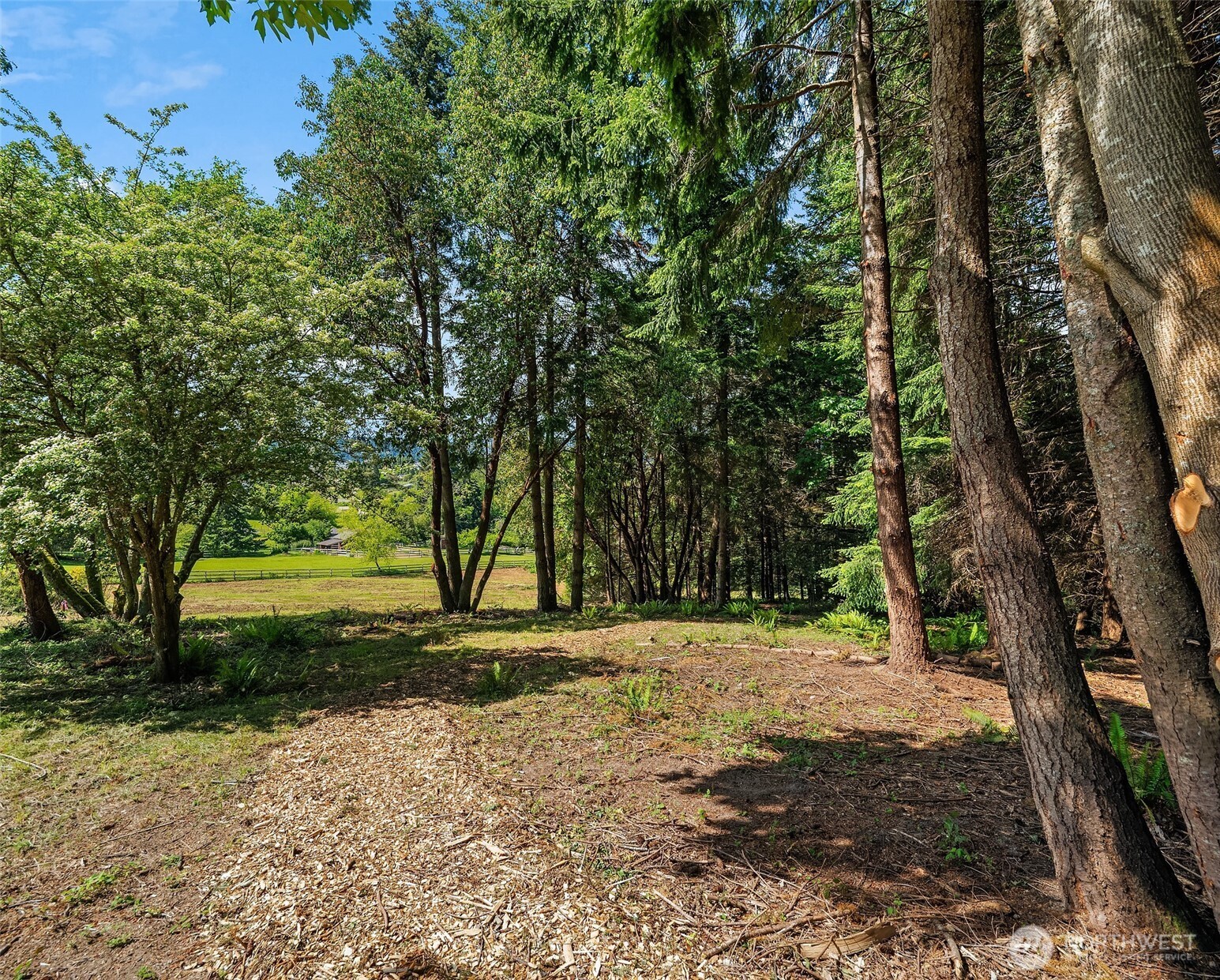 9416 Sw 266th Lane Property Photo 4