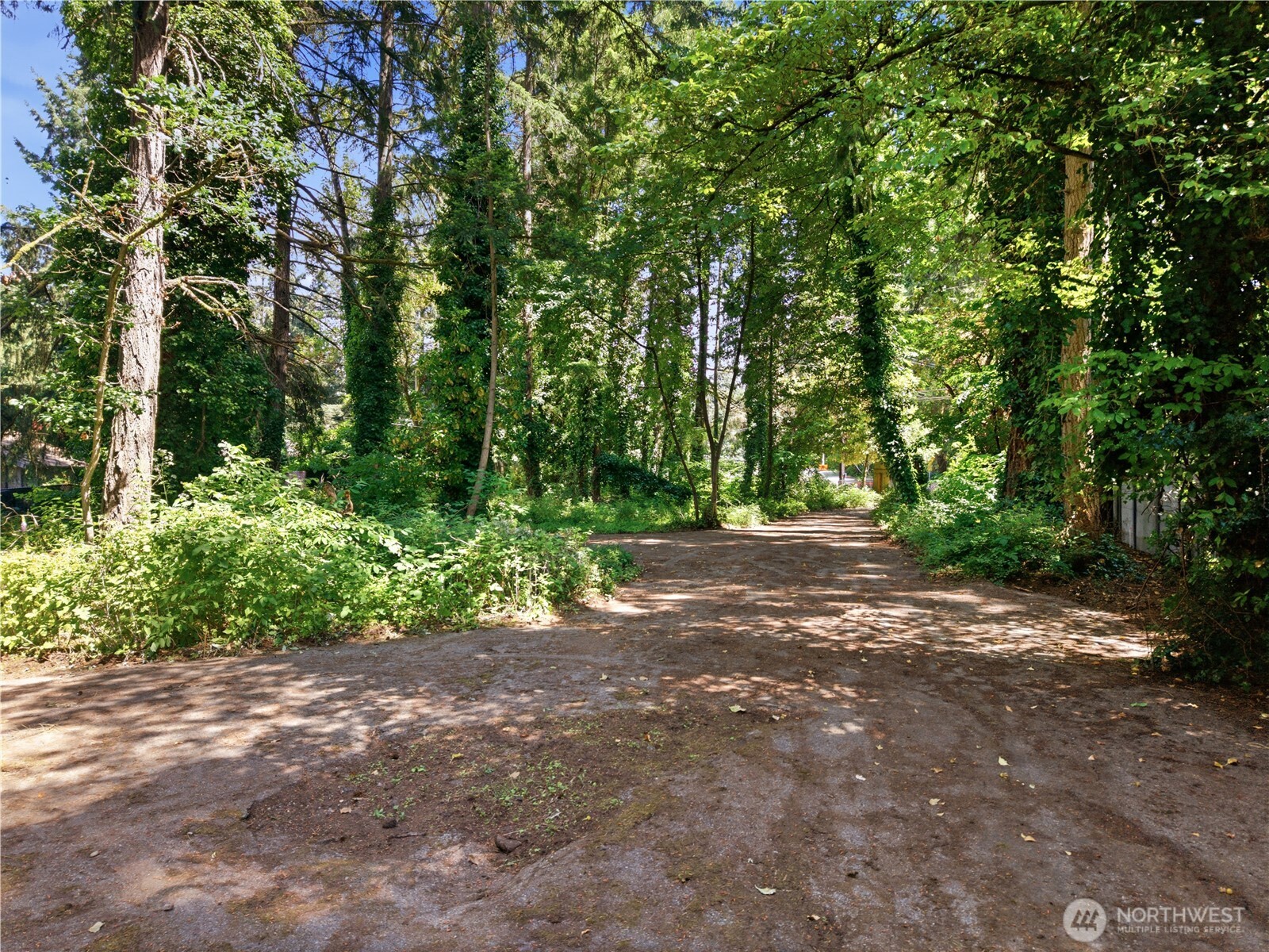 12795 Gravelly Lake Drive Property Photo 20