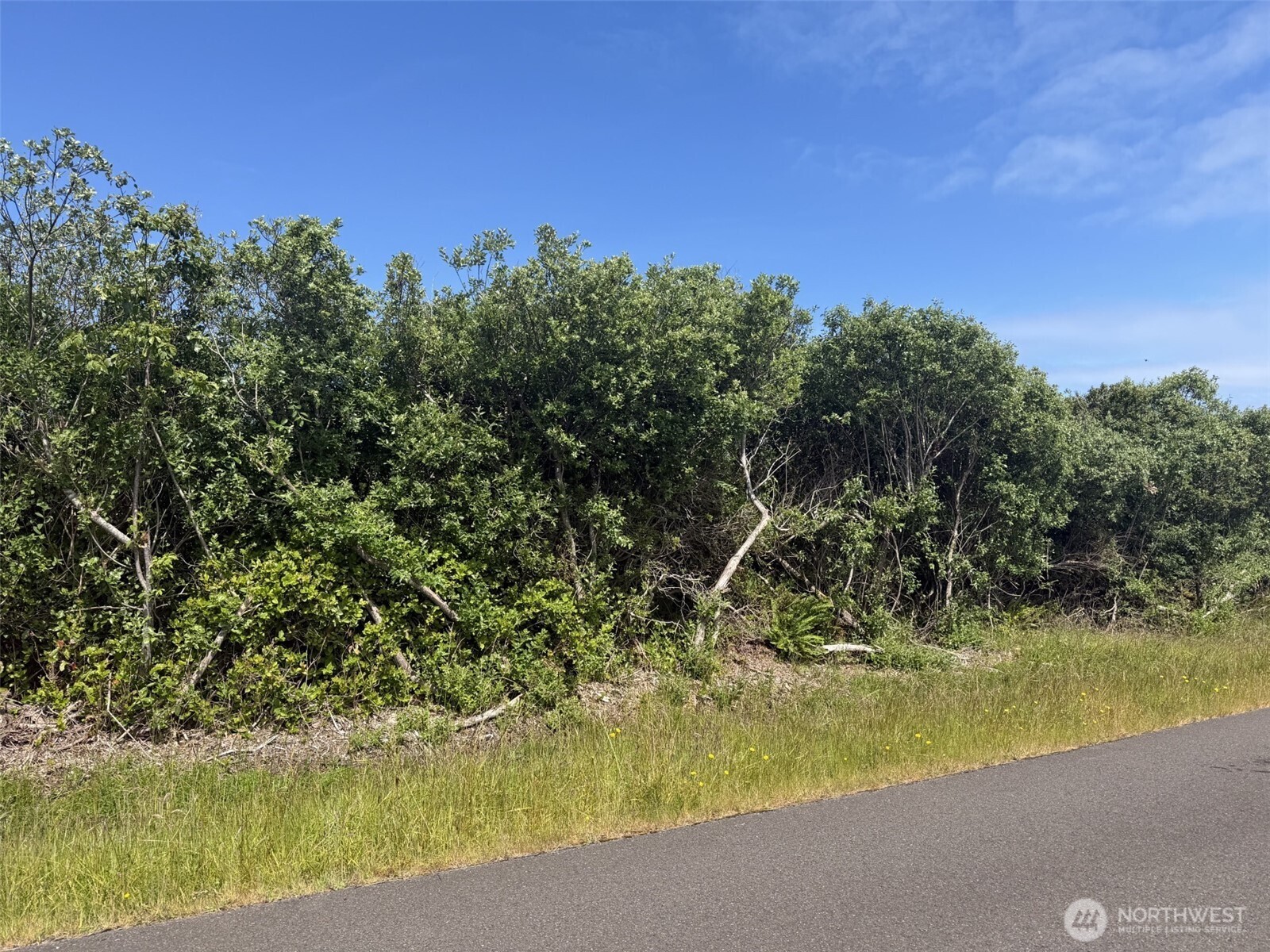 1079 Fairwood Drive Property Photo 1