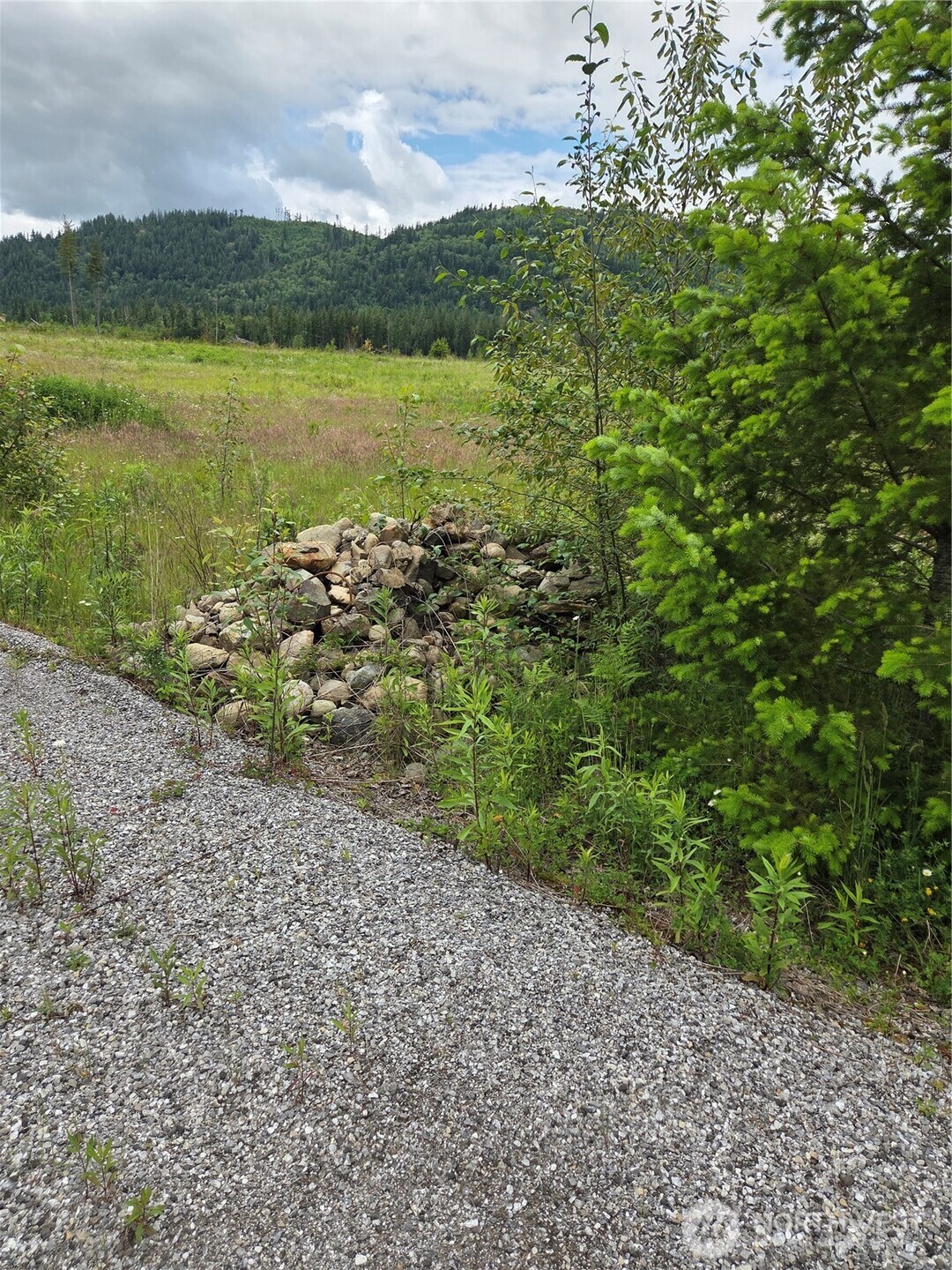 9242 Heady Road Property Photo 3