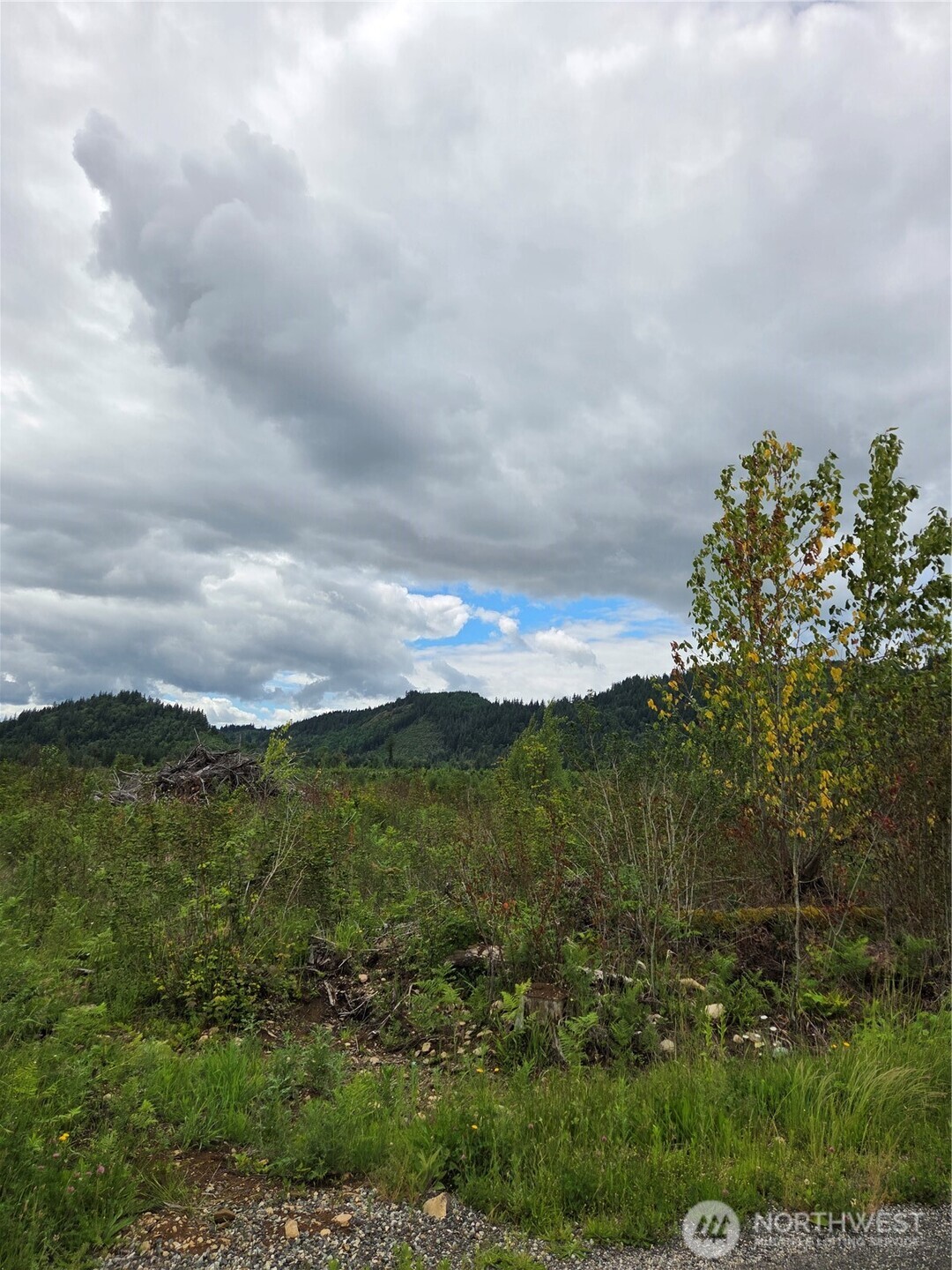 9242 Heady Road Property Photo 4