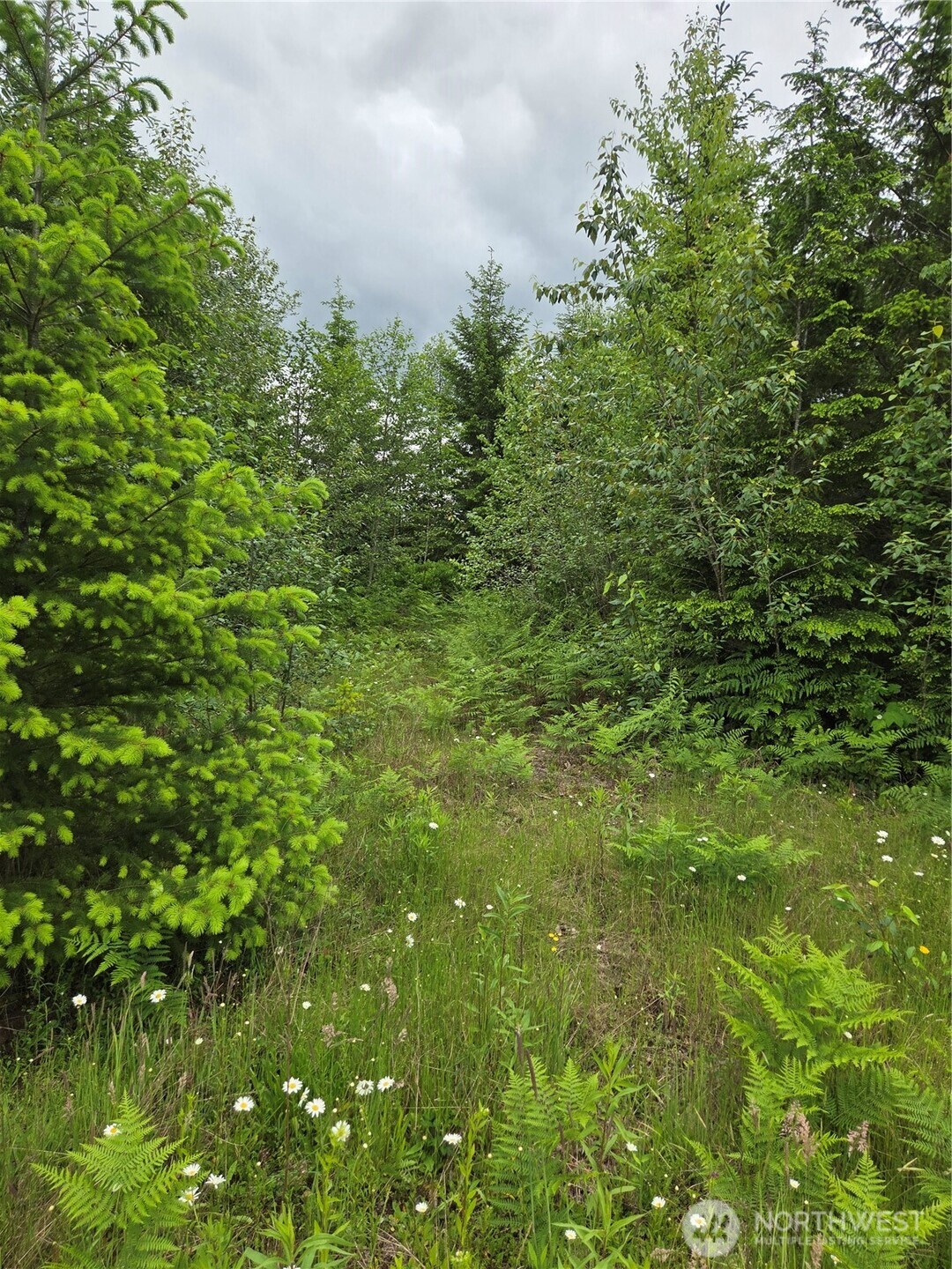 9242 Heady Road Property Photo 6