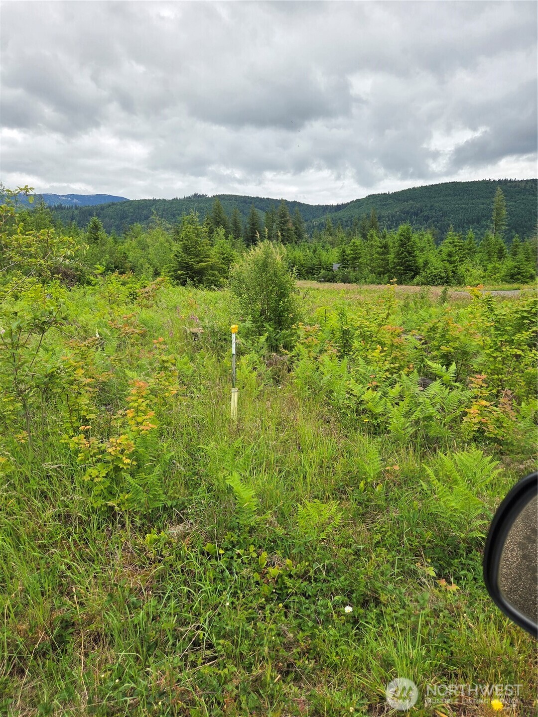 9242 Heady Road Property Photo 8