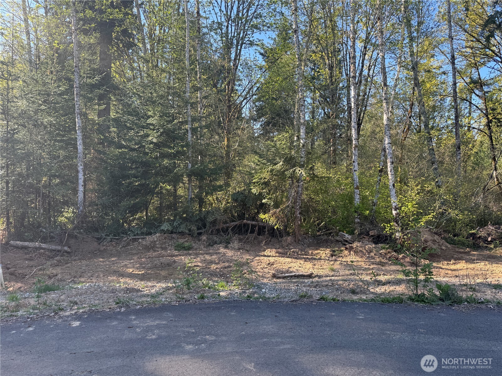 4814 93rd Avenue Property Photo 5
