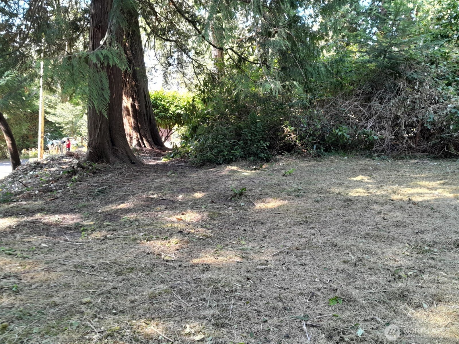0 Xxxx Beach Drive Property Photo 1