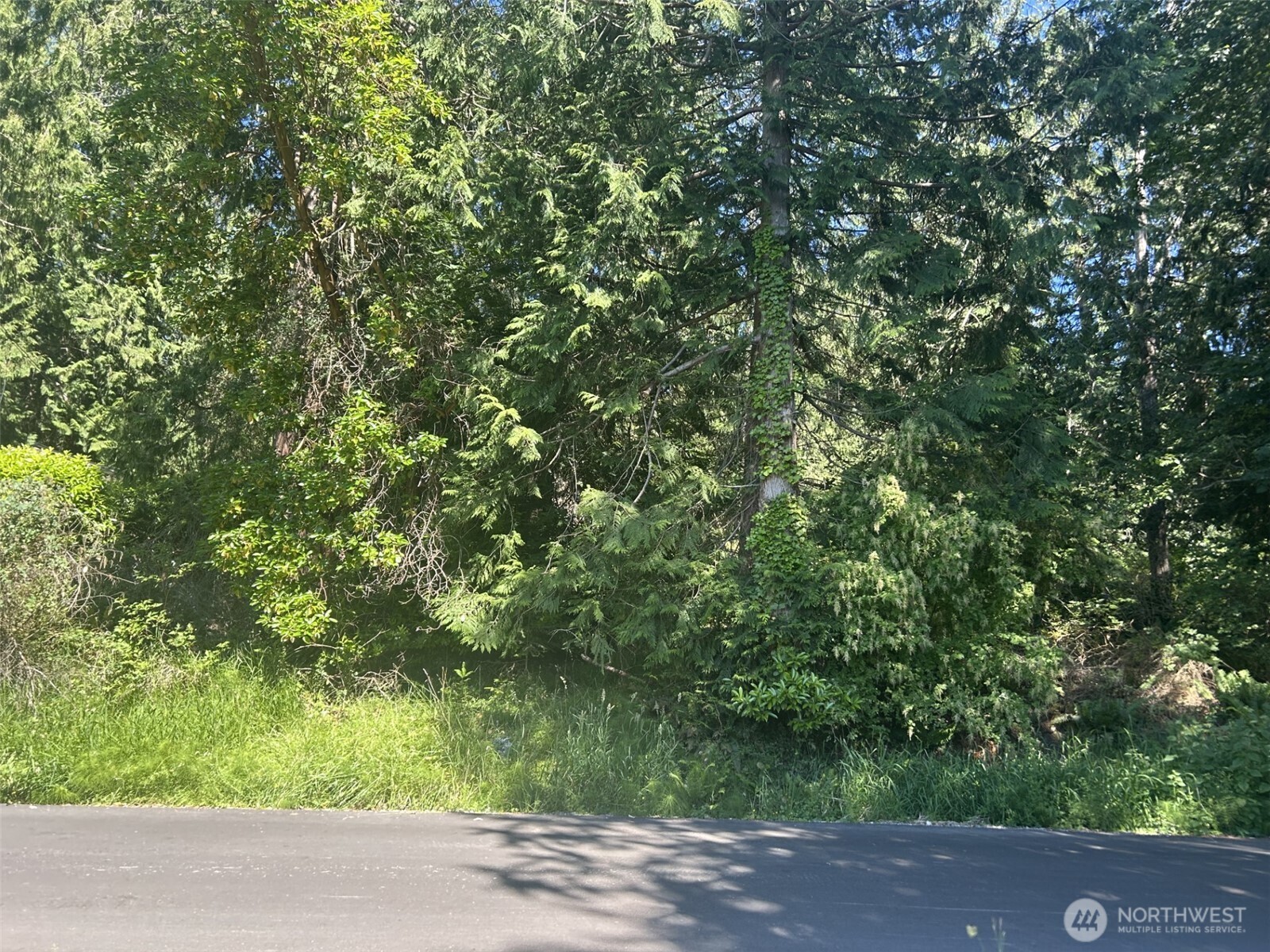 0 Xxxx Beach Drive Property Photo 2