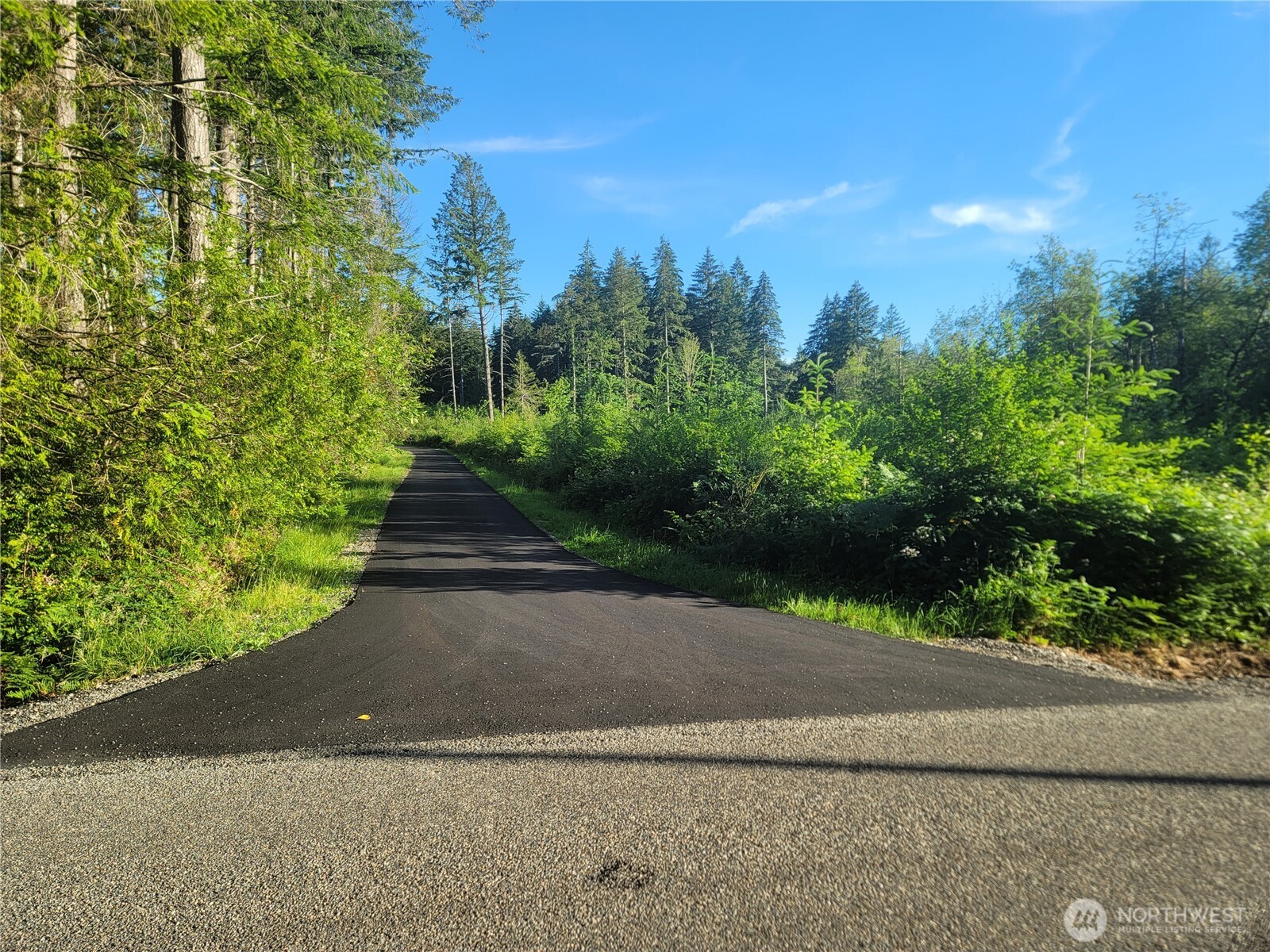 2 Lot 156th Avenue Property Photo 2