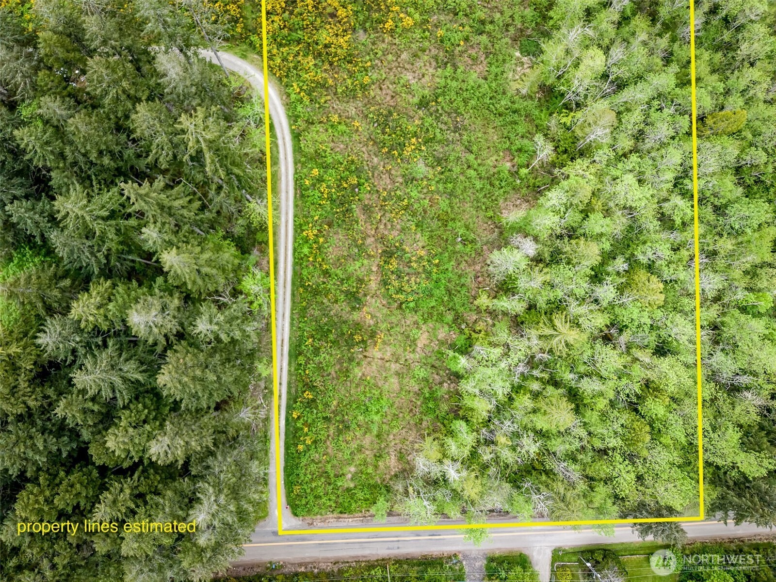 2 Lot 156th Avenue Property Photo 6