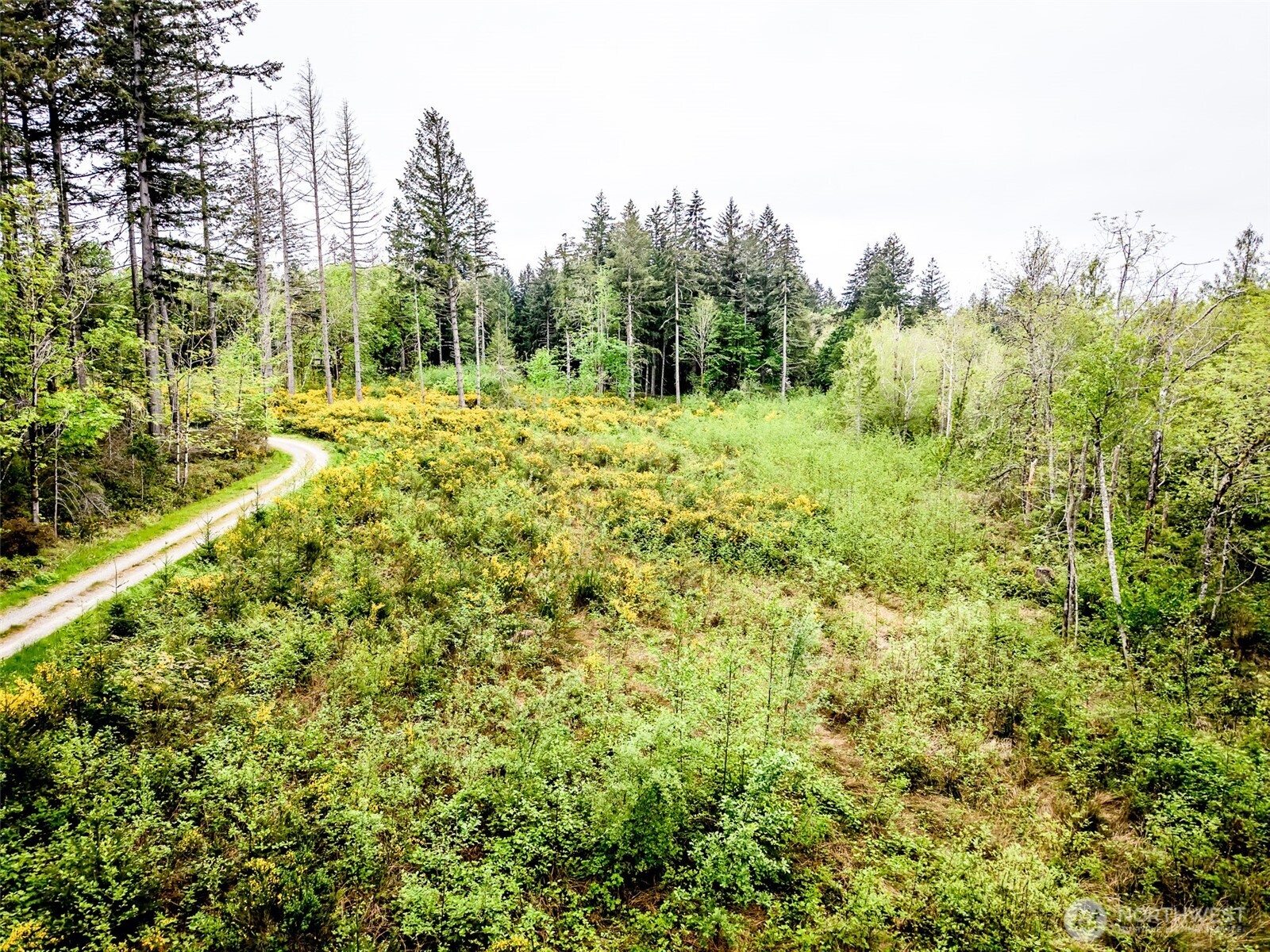 2 Lot 156th Avenue Property Photo 7