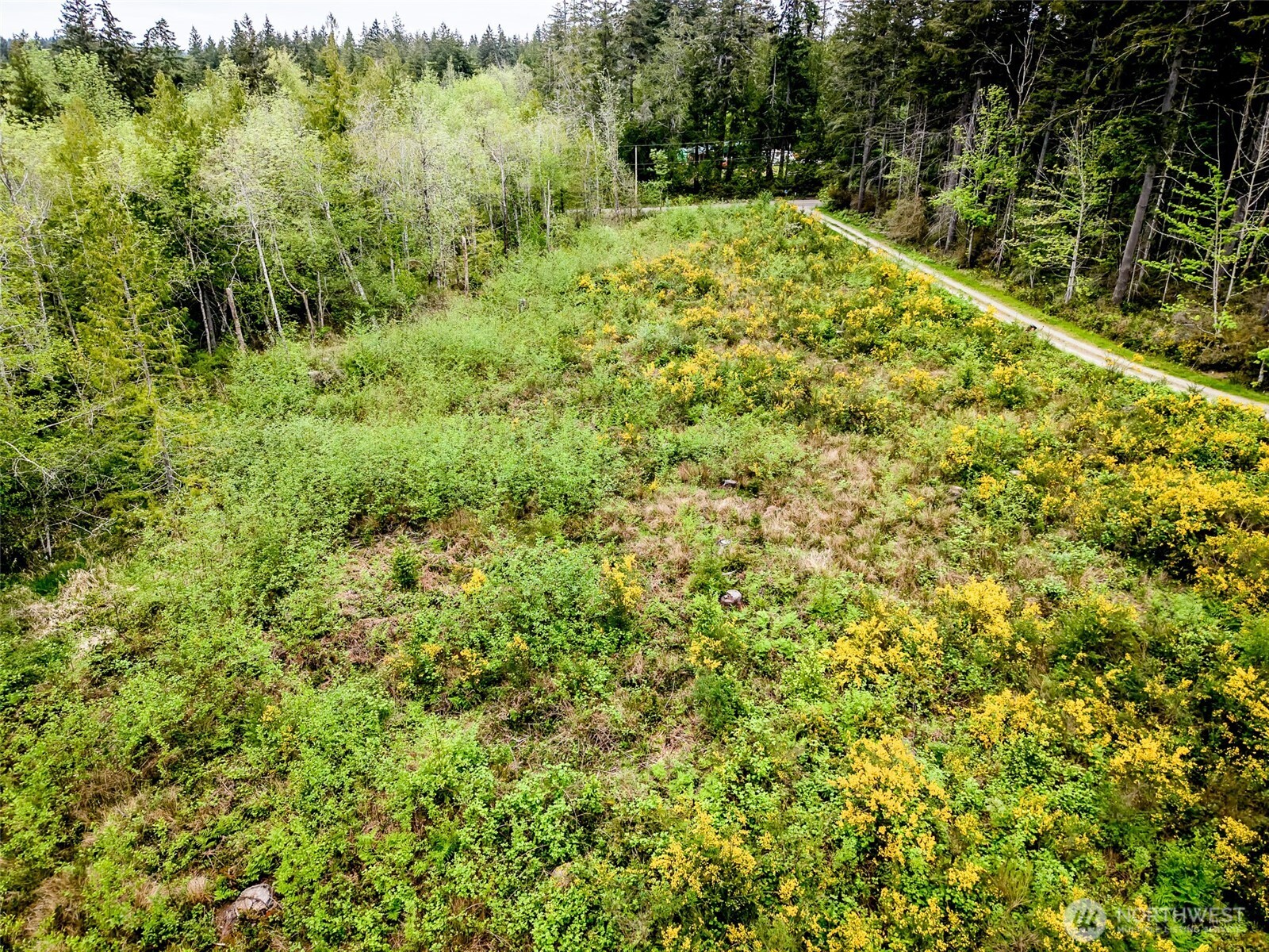 2 Lot 156th Avenue Property Photo 8