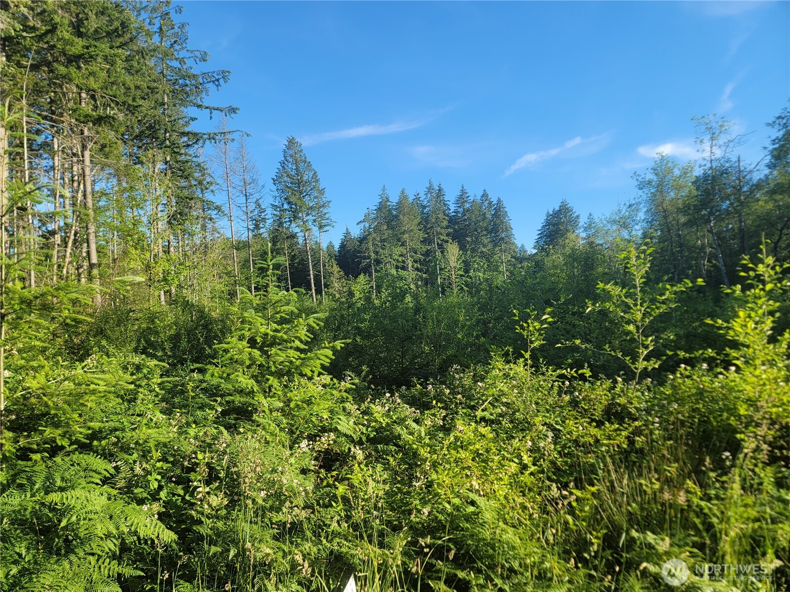 2 Lot 156th Avenue Property Photo 10