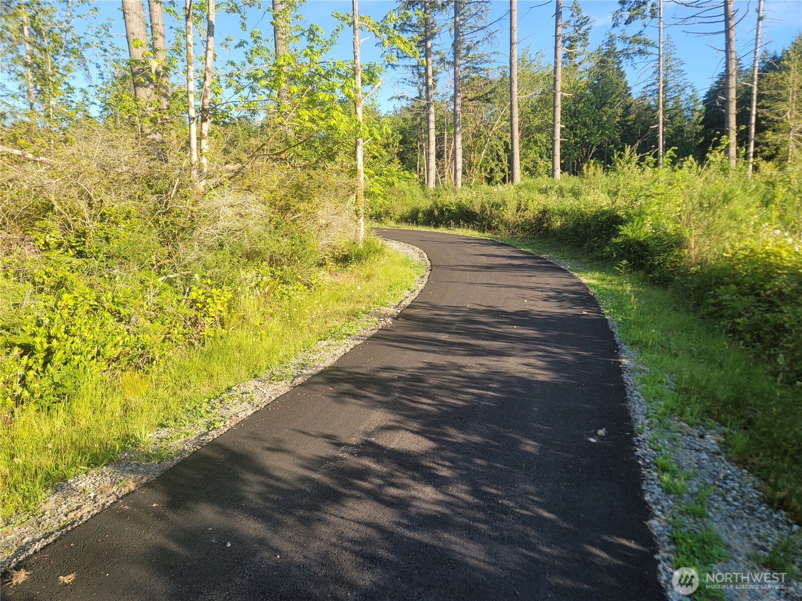 2 Lot 156th Avenue Property Photo 11