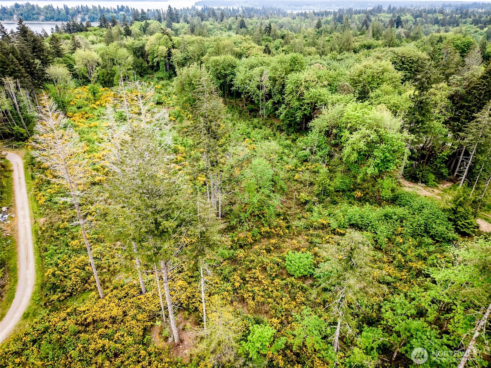 4 Lot 9th Street Property Photo 7